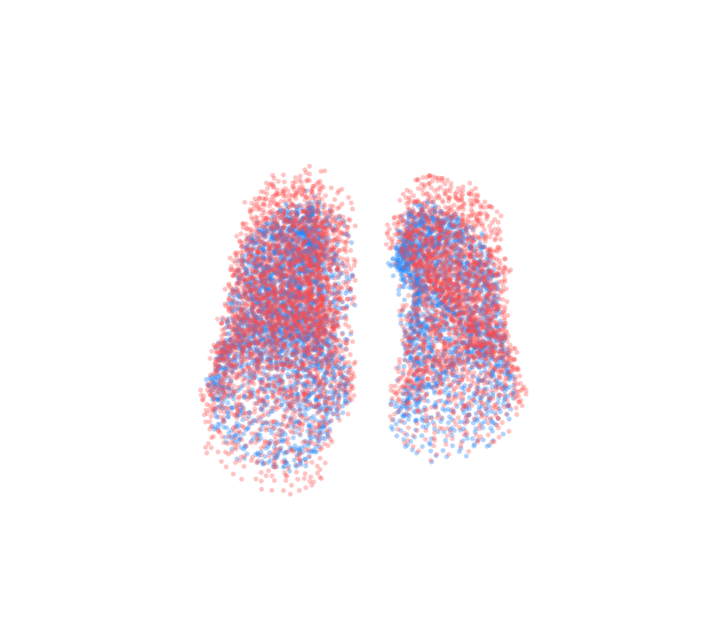 Point Cloud - Front View