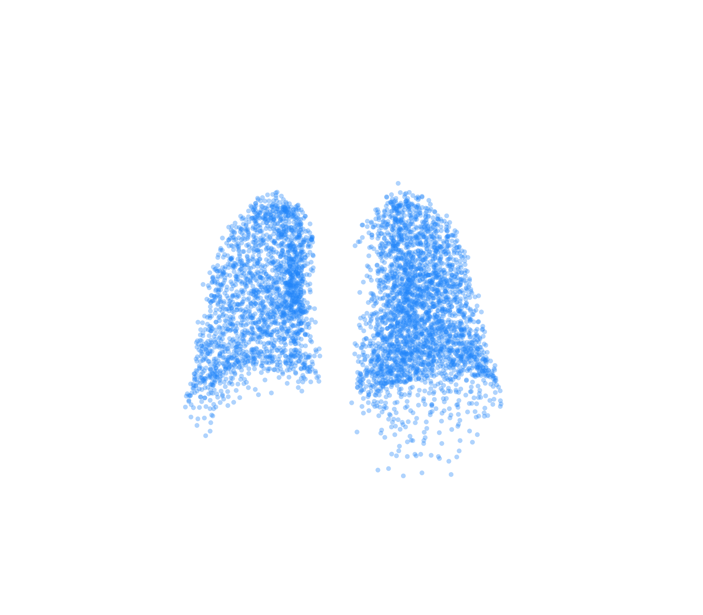 Point Cloud (Inspiration) - Back View