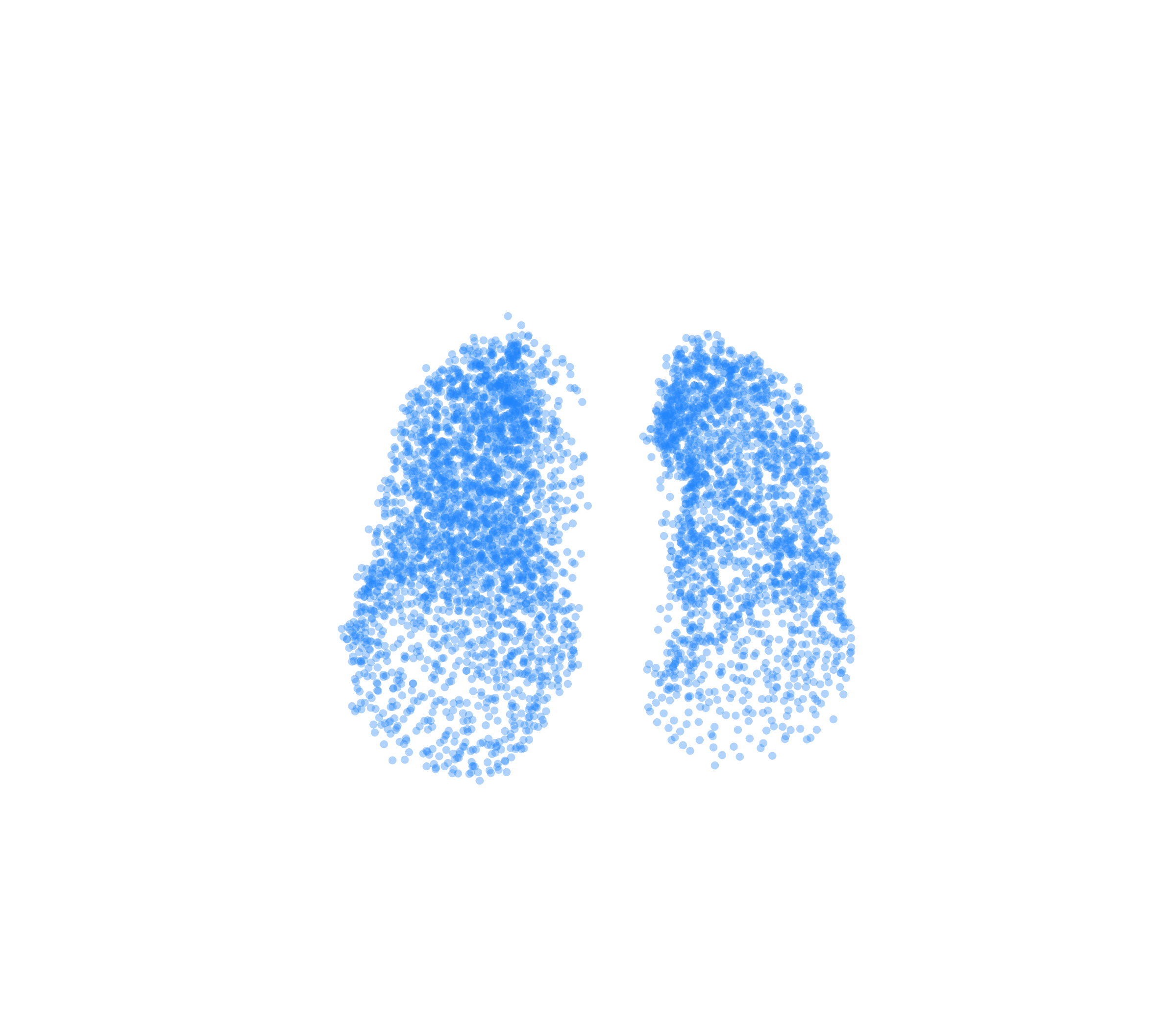 Point Cloud (Inspiration) - Front View