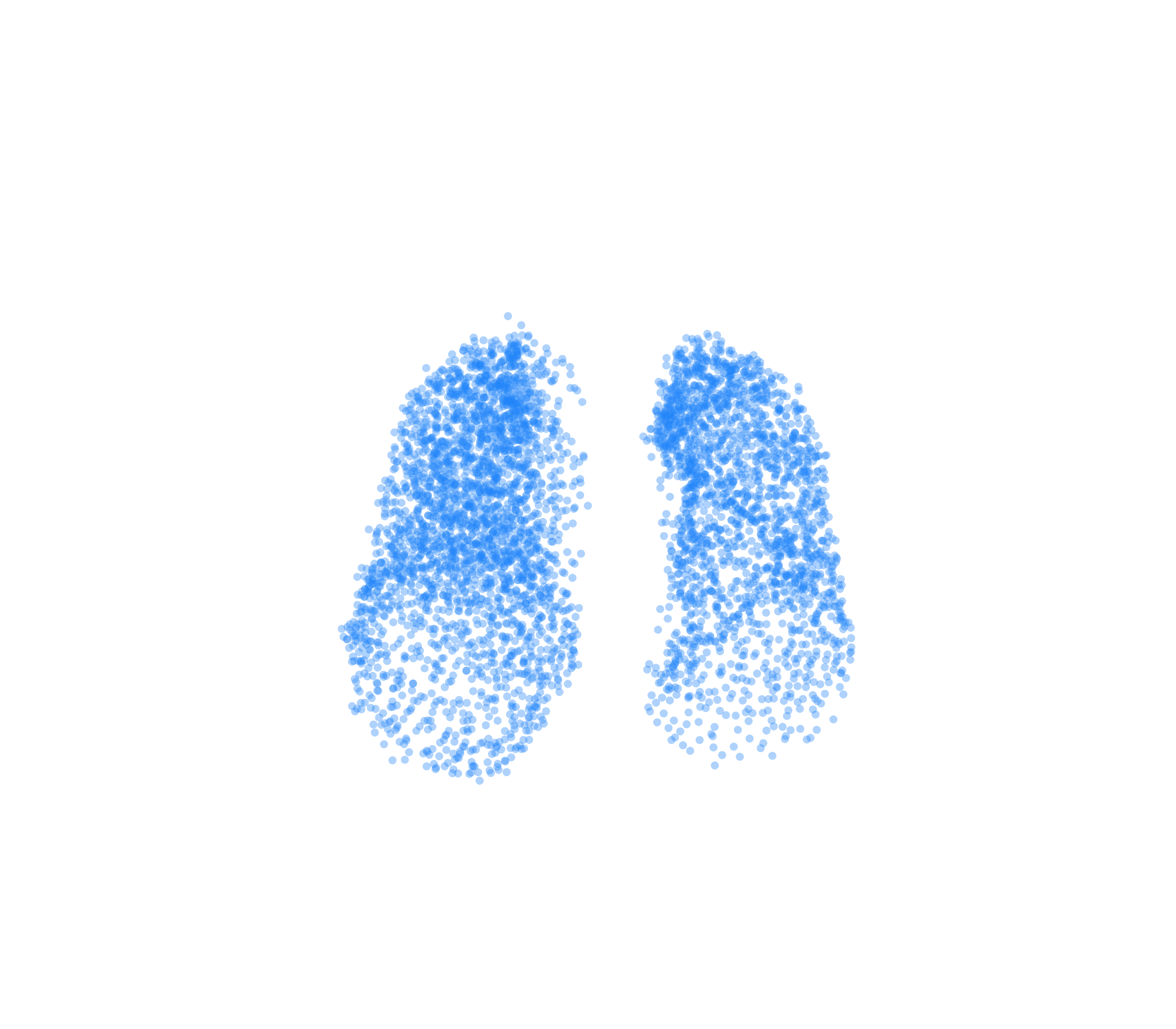 Point Cloud (Inspiration) - Front View