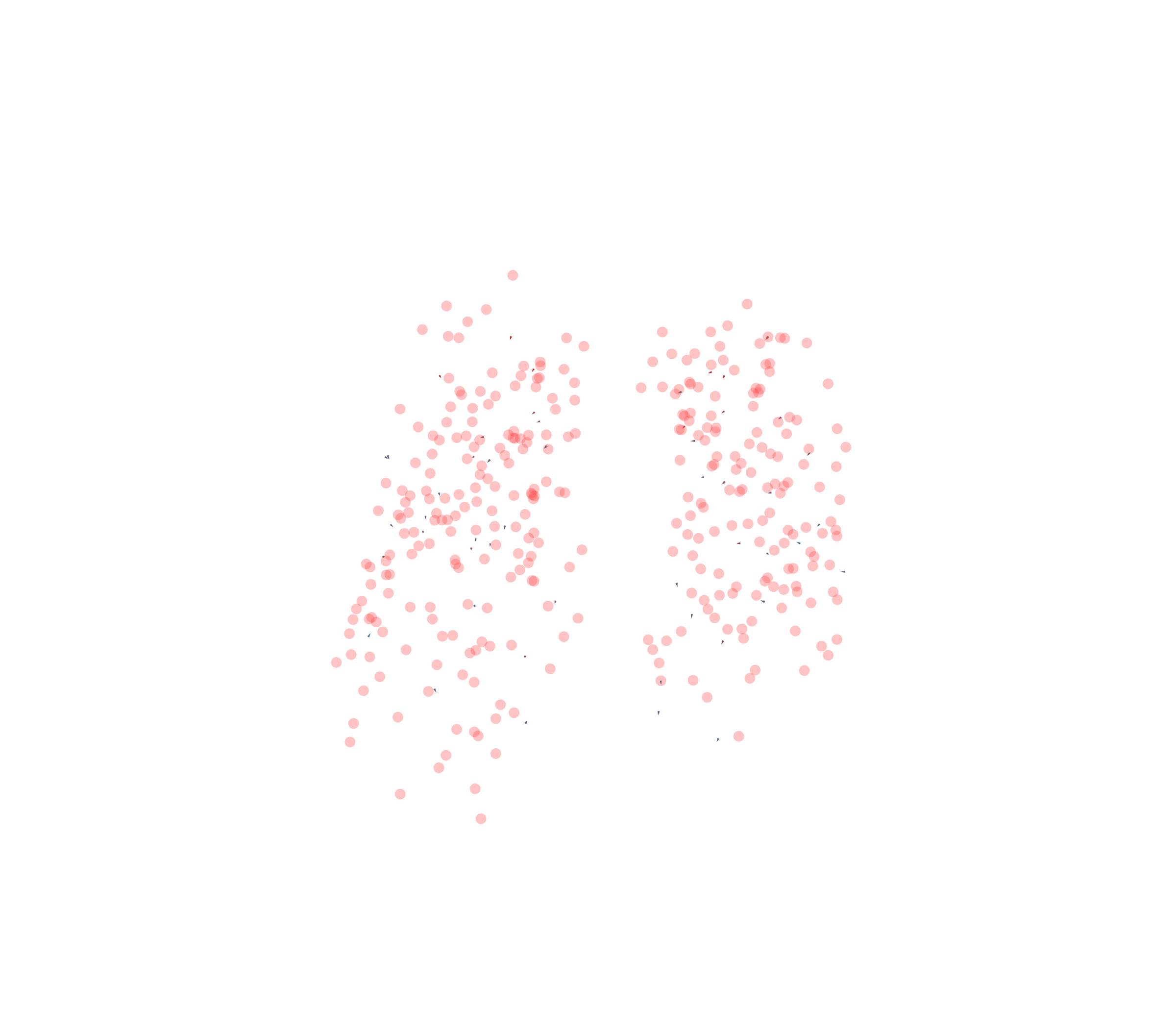 Displacement Vectors - Front View
