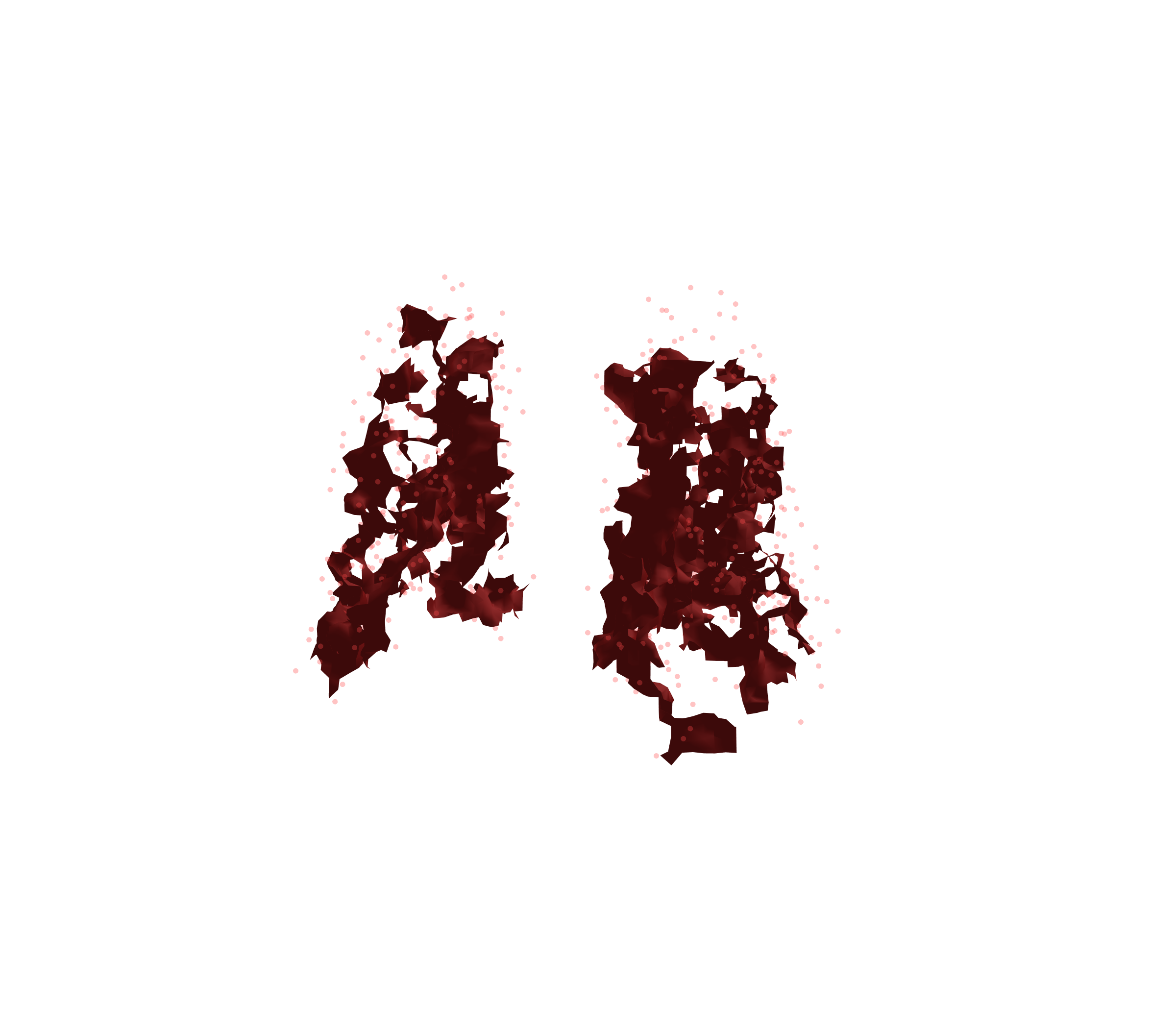 Combined Visualization (Expiration) - Back View