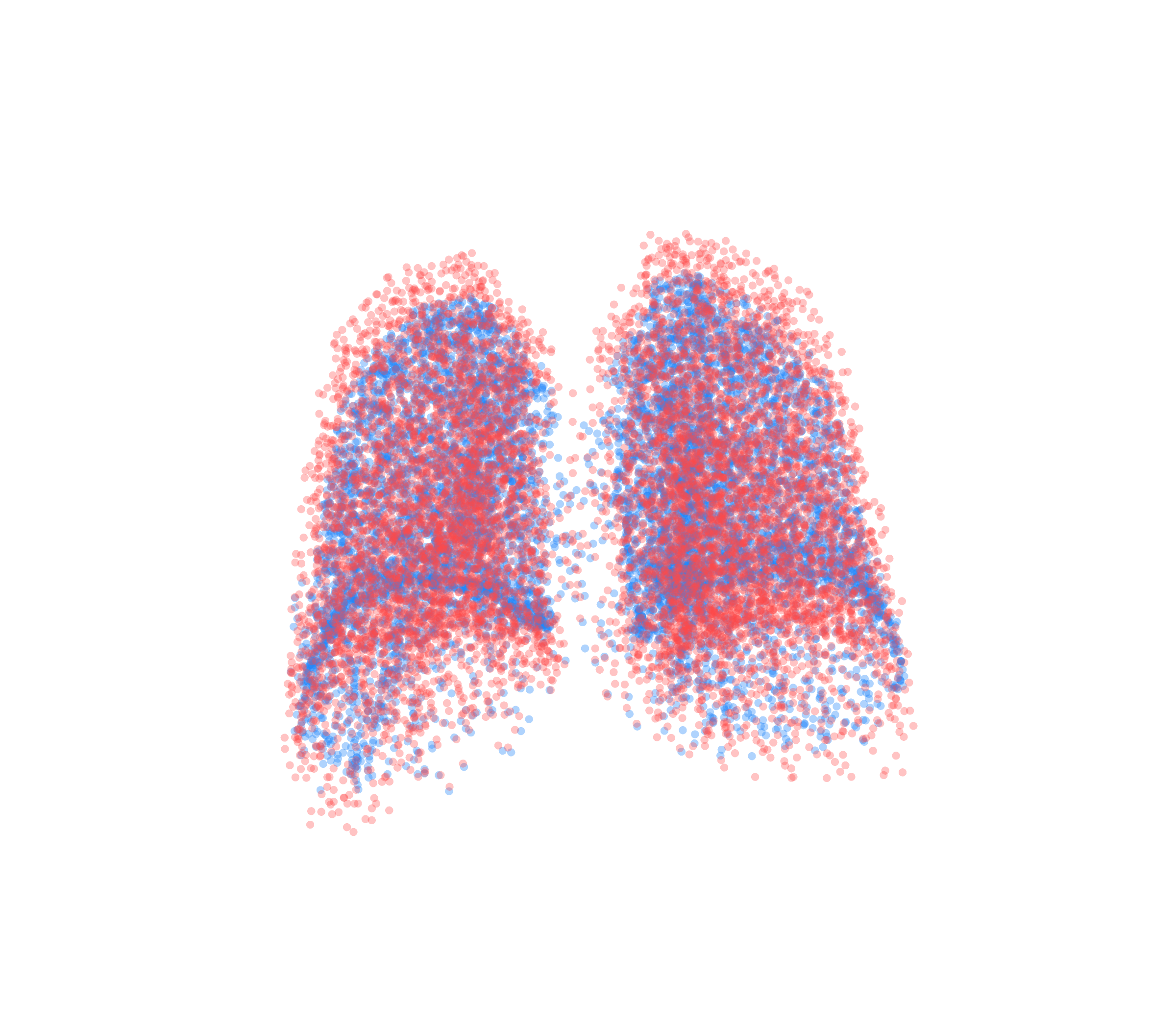 Point Cloud - Back View