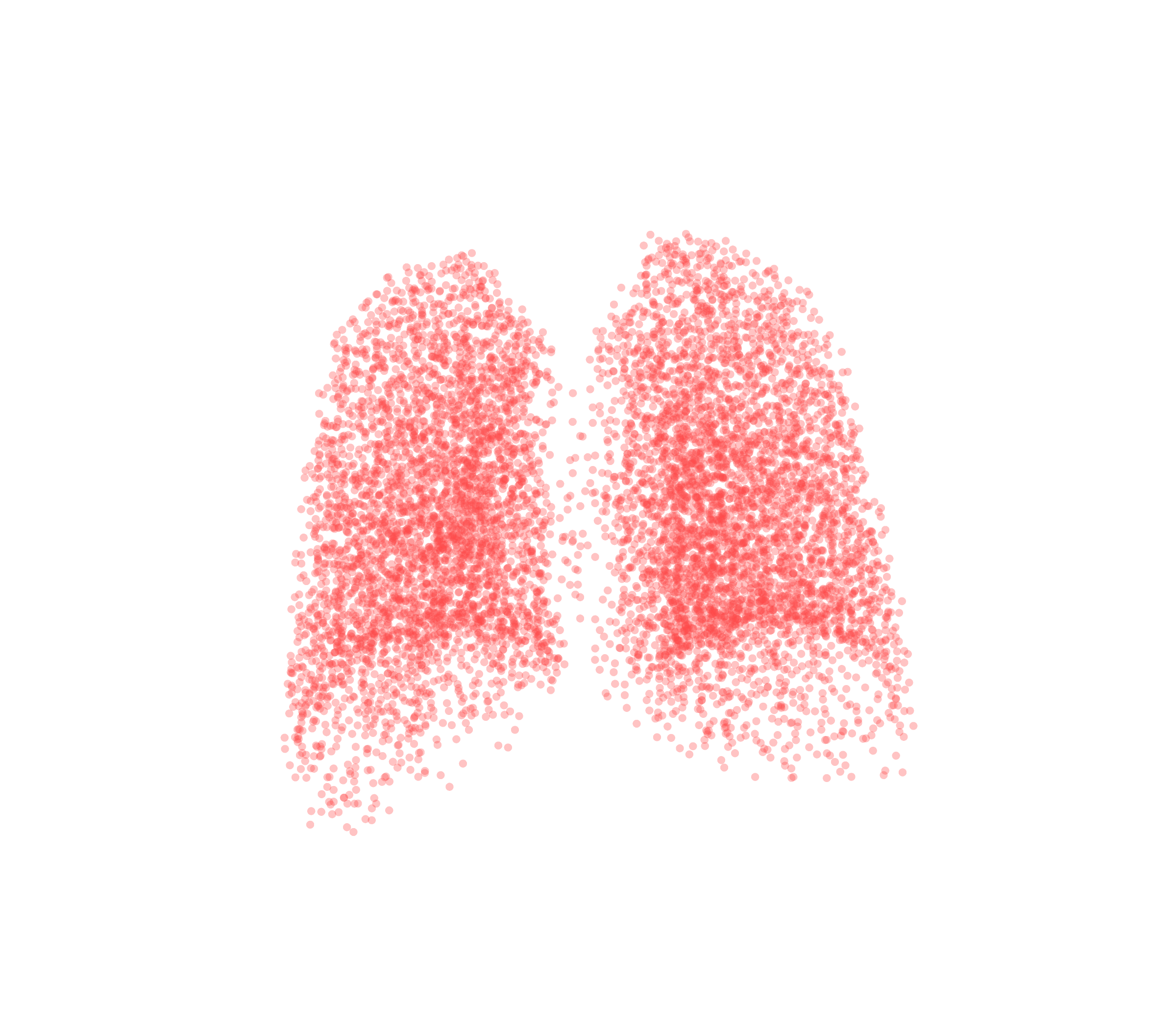 Point Cloud (Expiration) - Back View