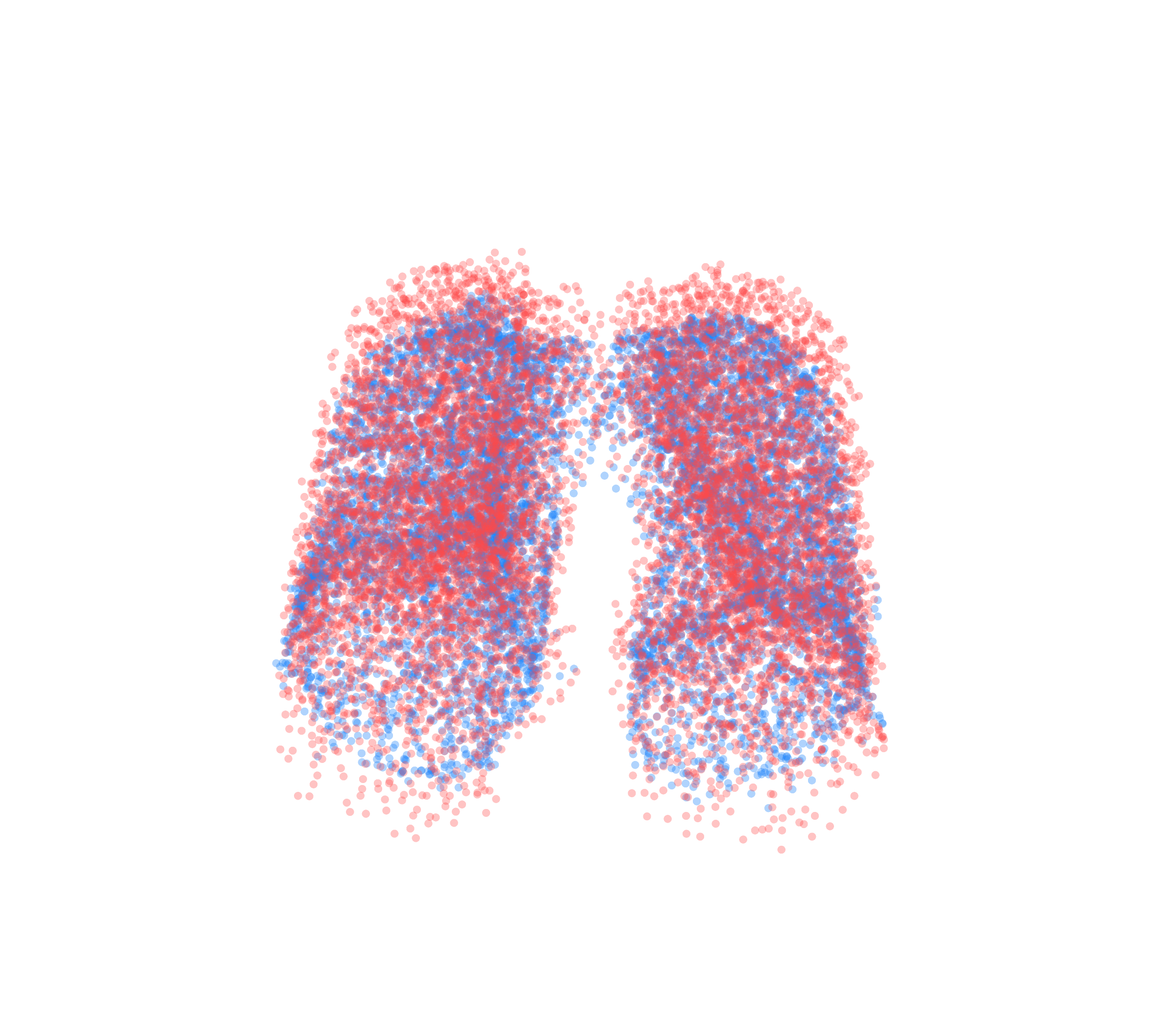 Point Cloud - Front View
