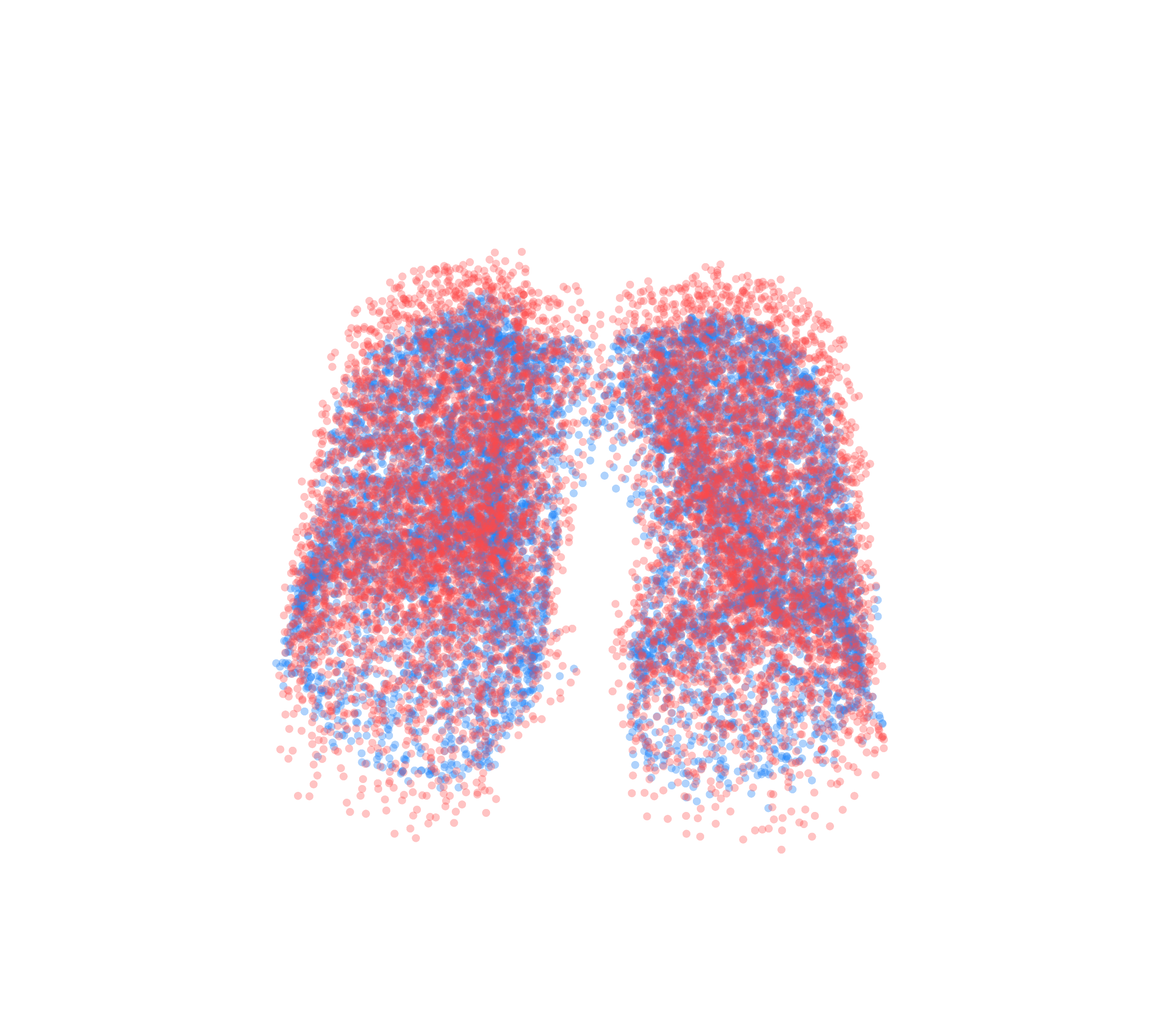 Point Cloud - Front View