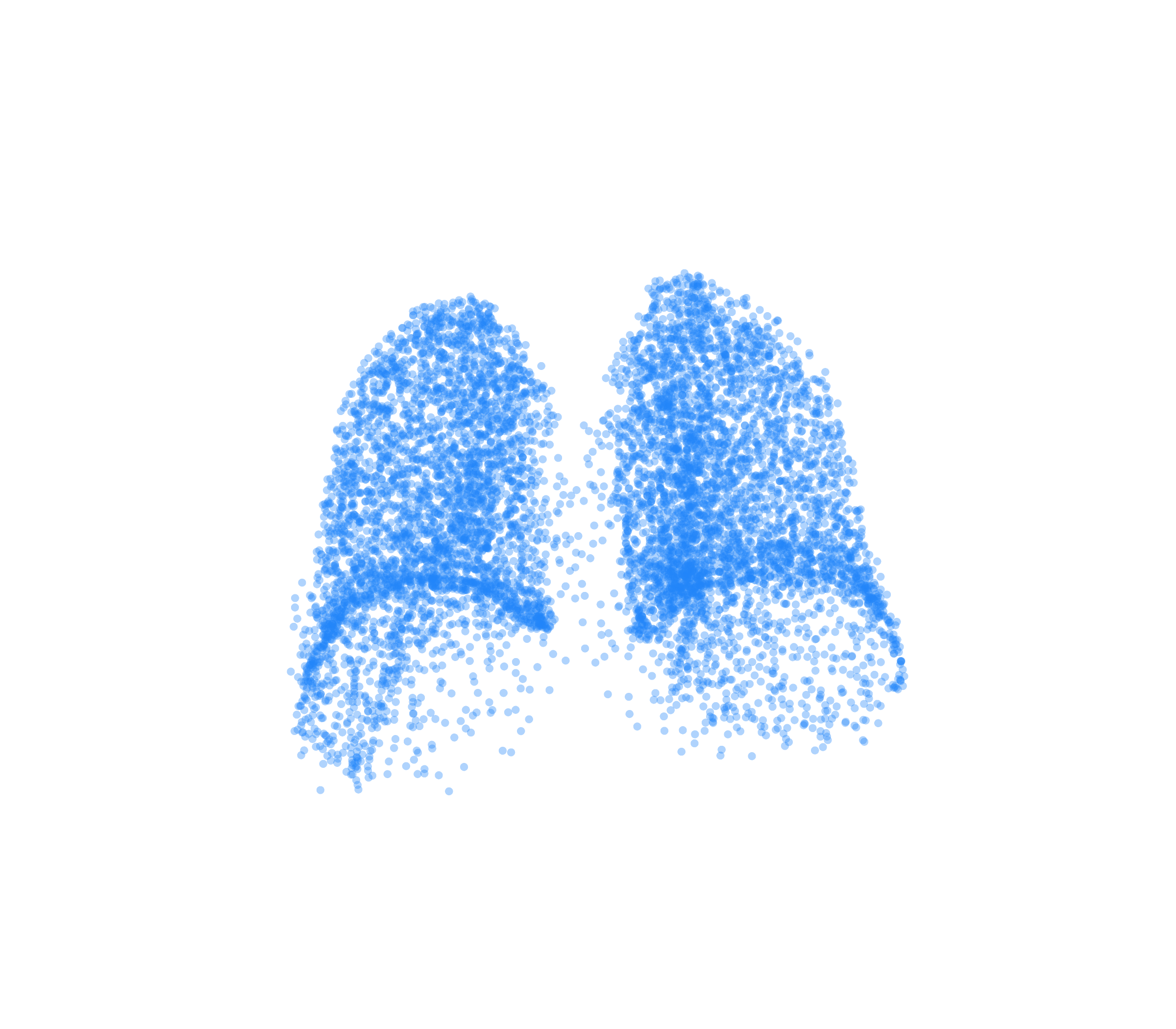 Point Cloud (Inspiration) - Back View