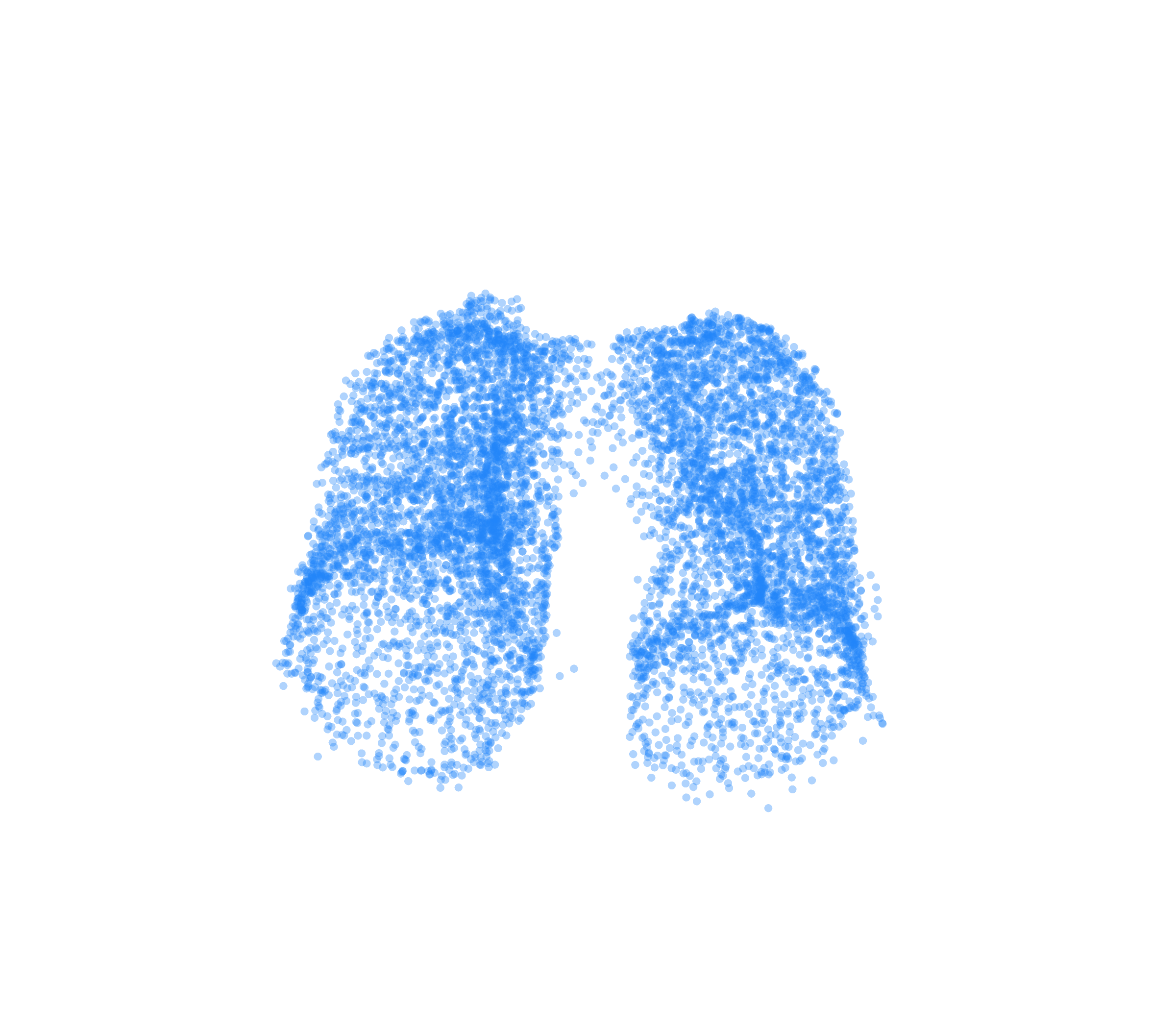 Point Cloud (Inspiration) - Front View