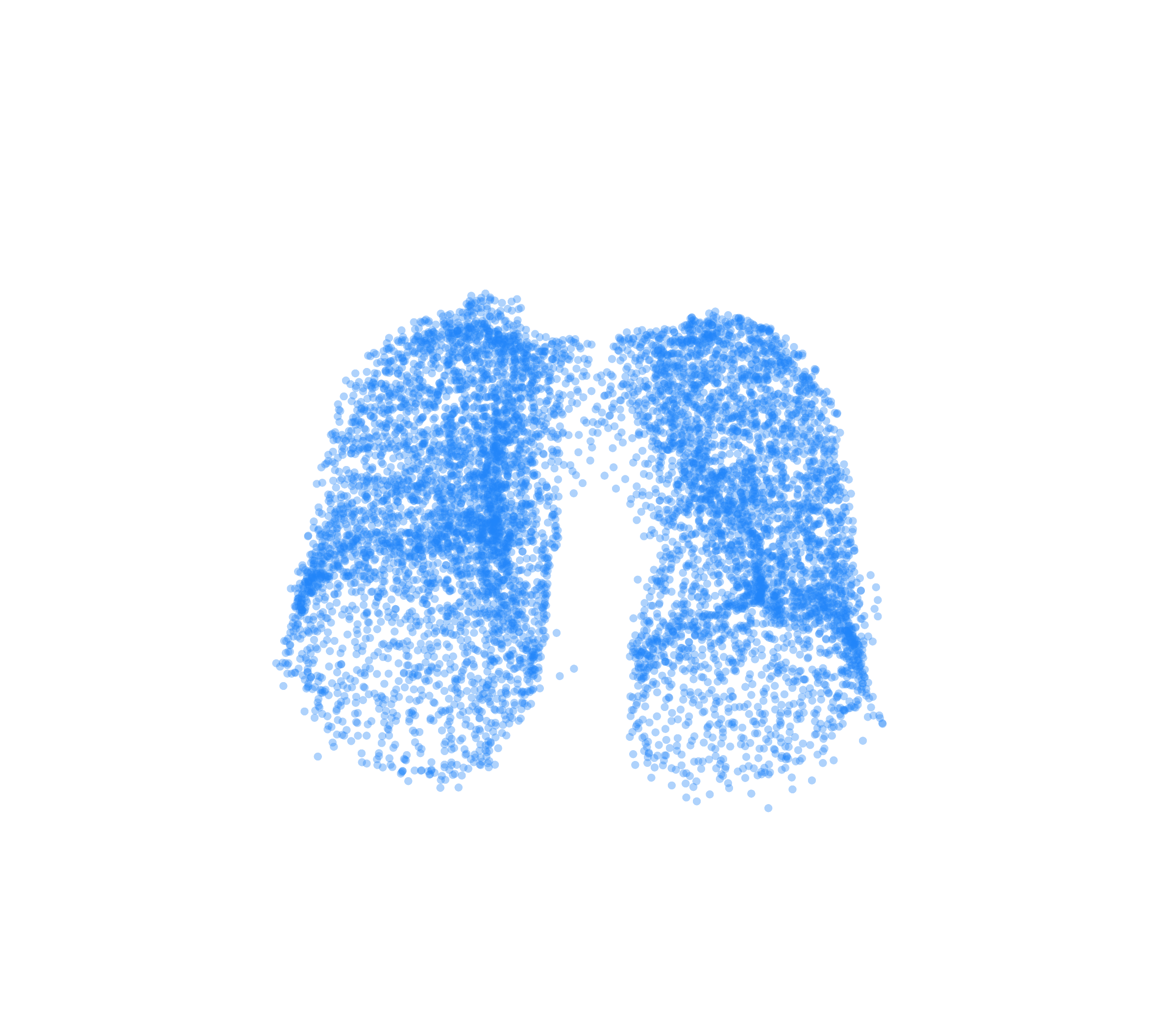 Point Cloud (Inspiration) - Front View