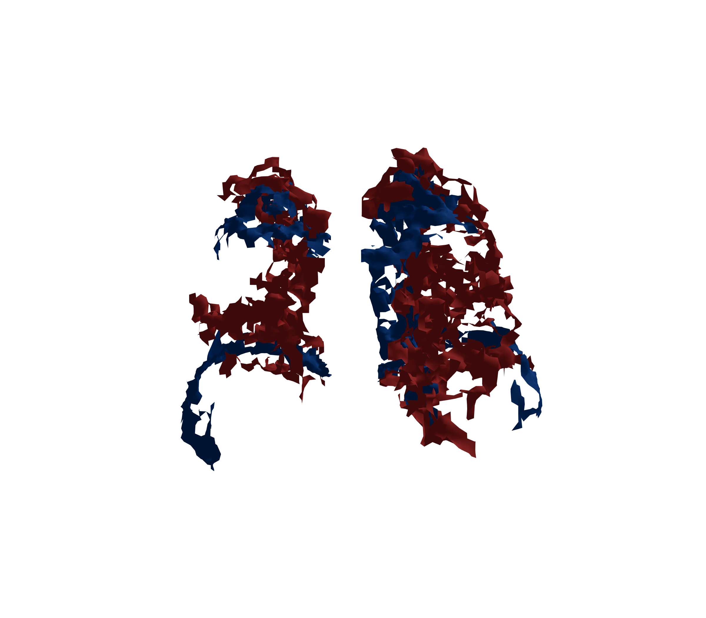 Surface Mesh - Back View