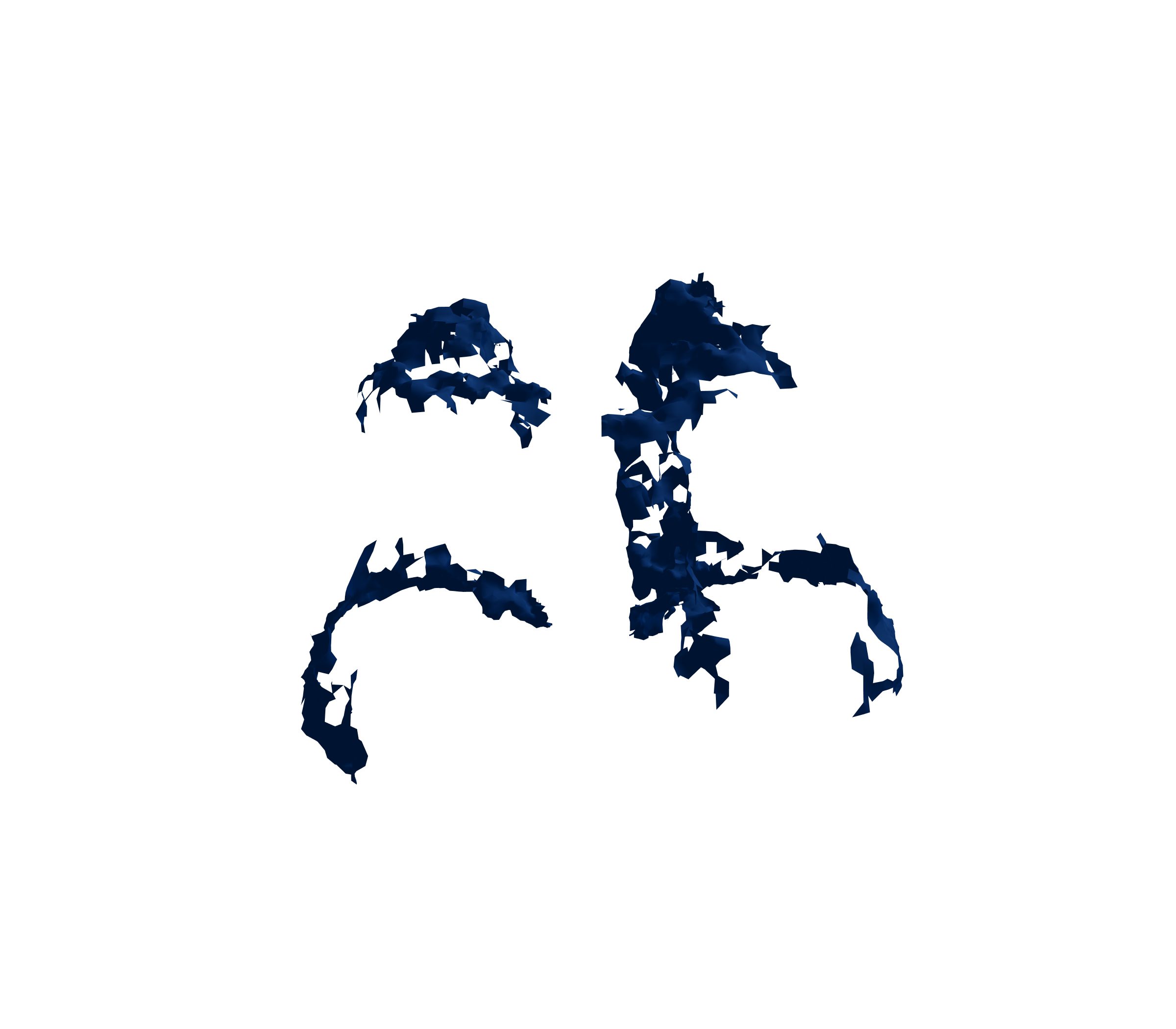 Surface Mesh (Inspiration) - Back View