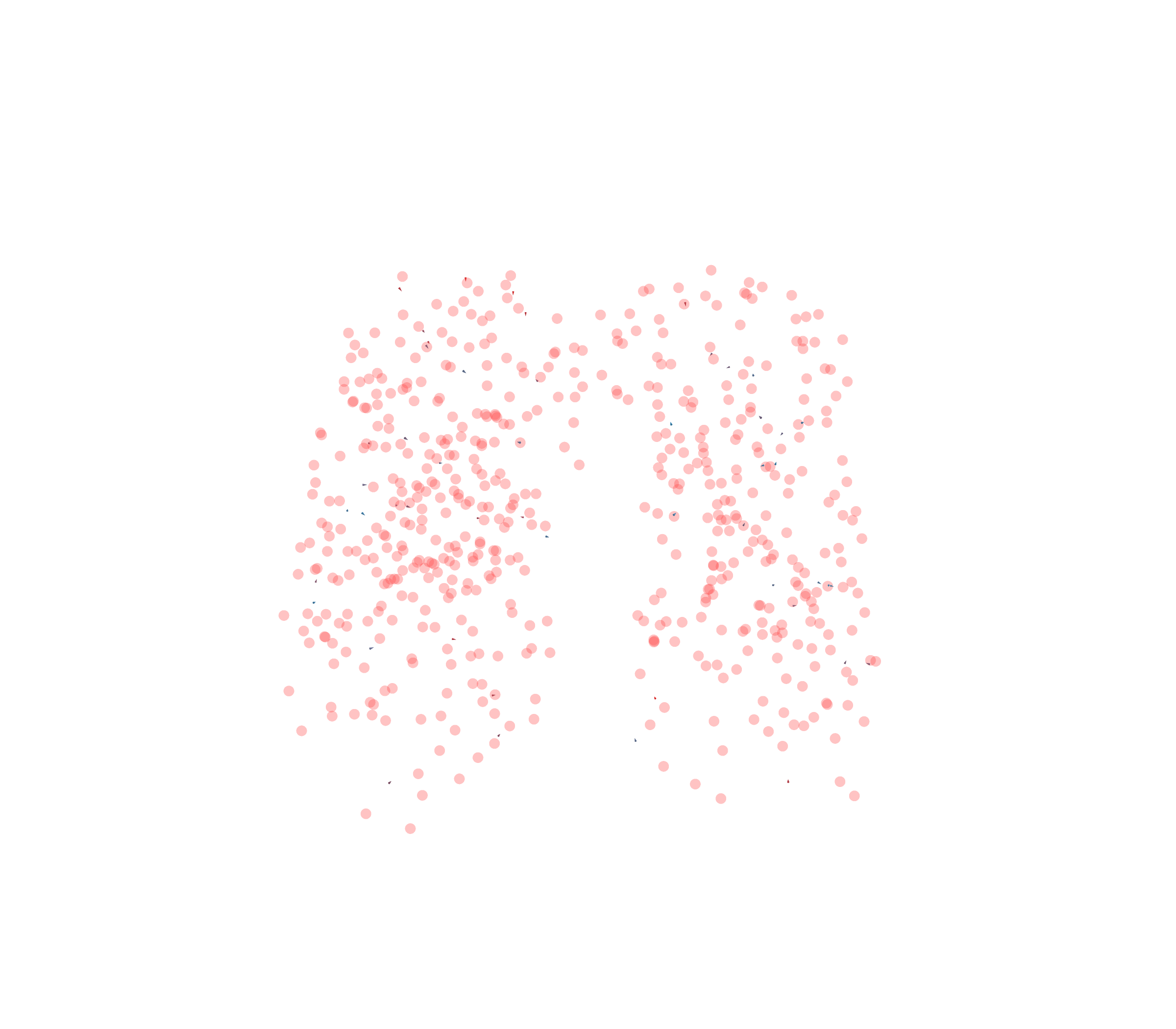 Displacement Vectors - Front View