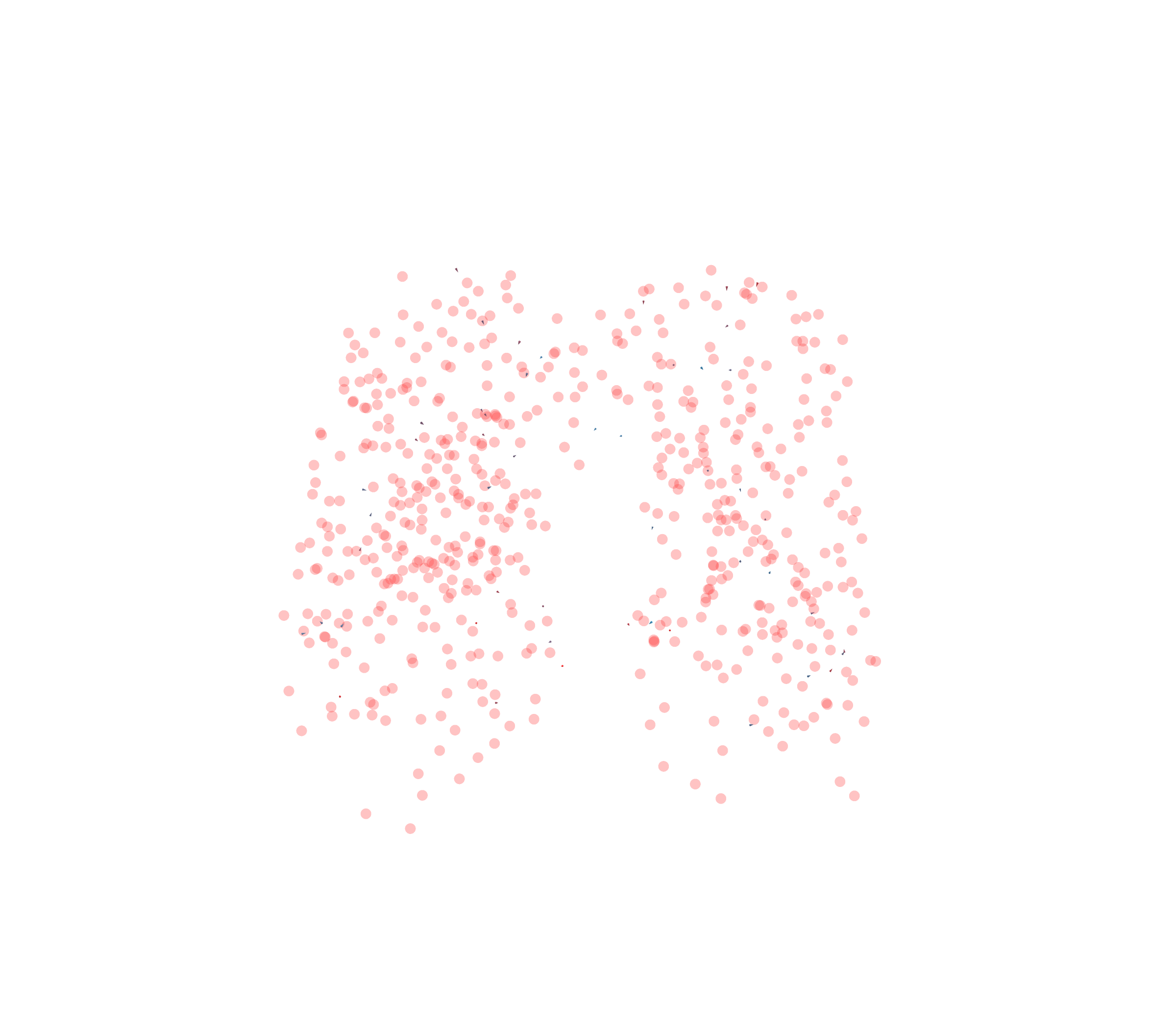 Displacement Vectors - Front View