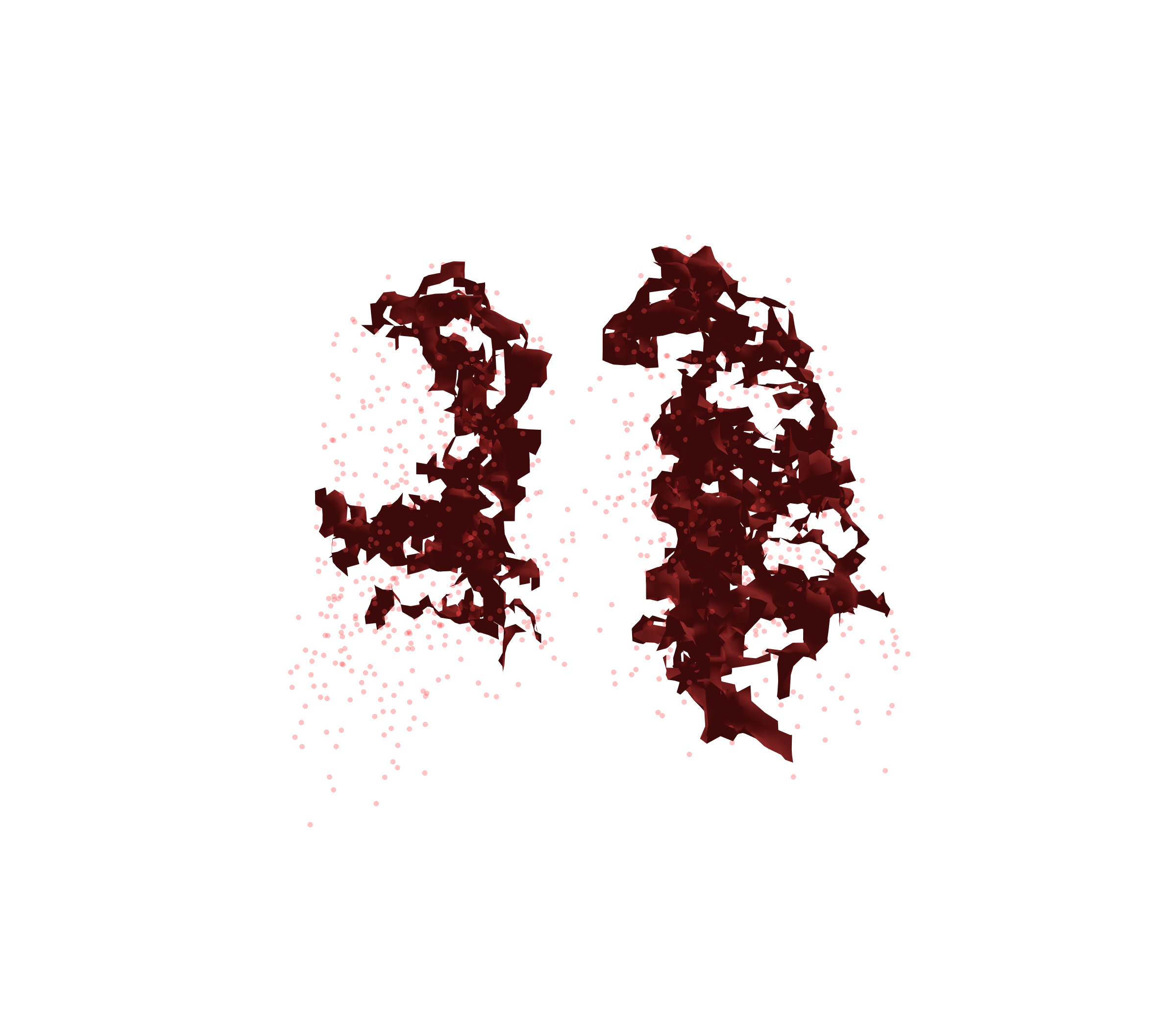 Combined Visualization (Expiration) - Back View