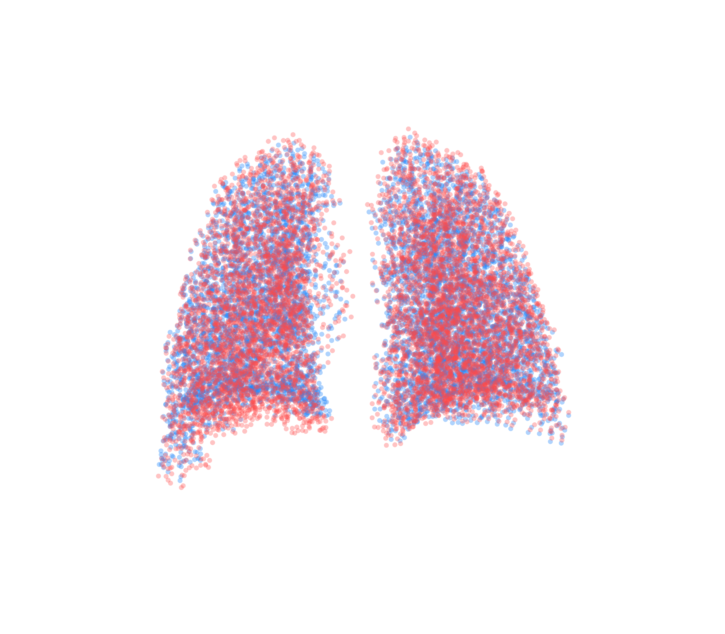 Point Cloud - Back View