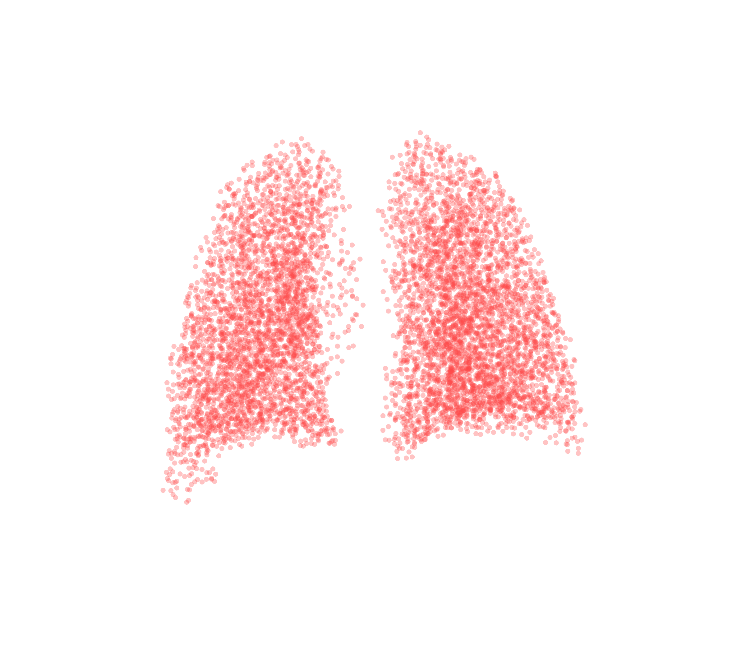 Point Cloud (Expiration) - Back View