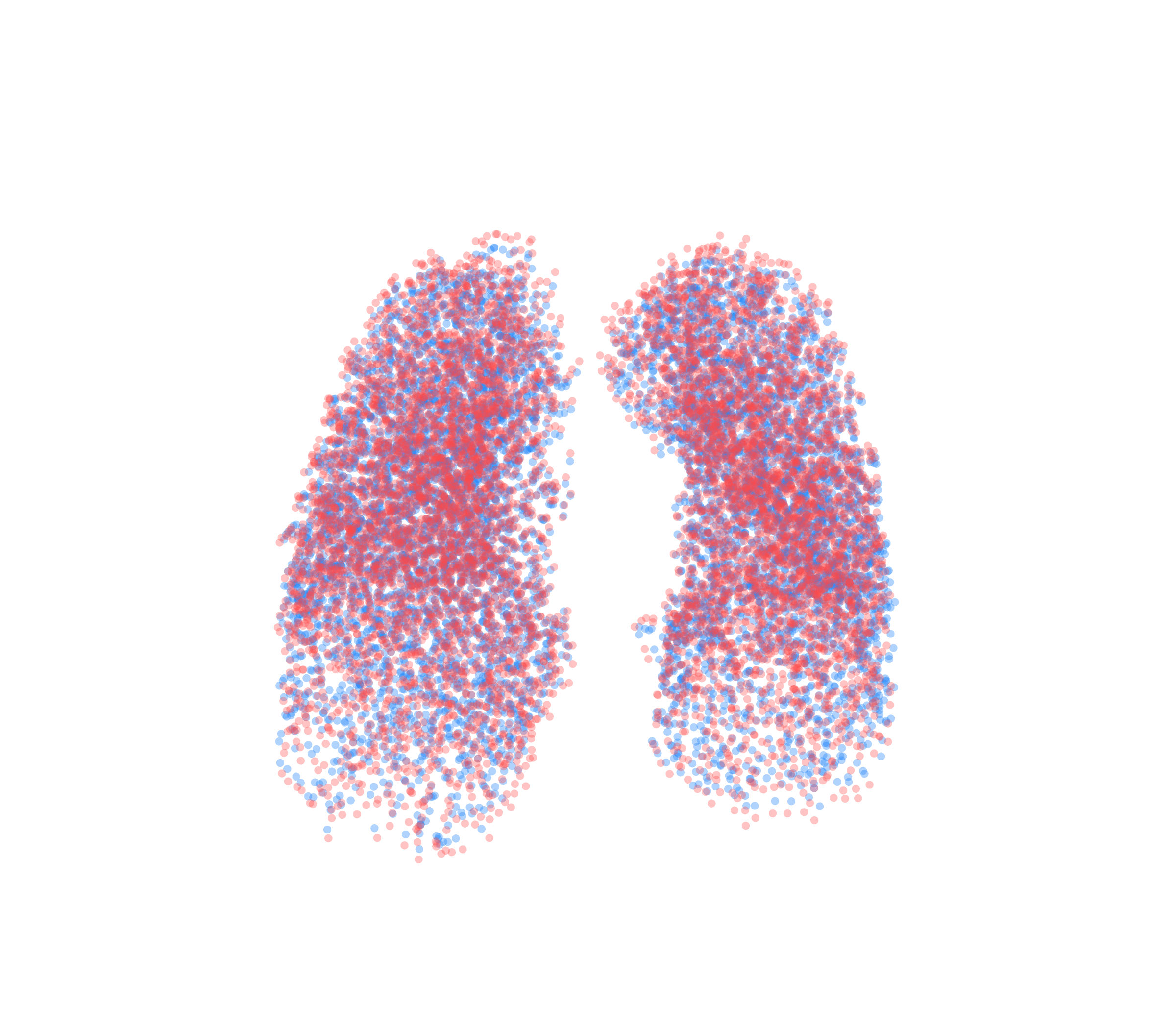 Point Cloud - Front View