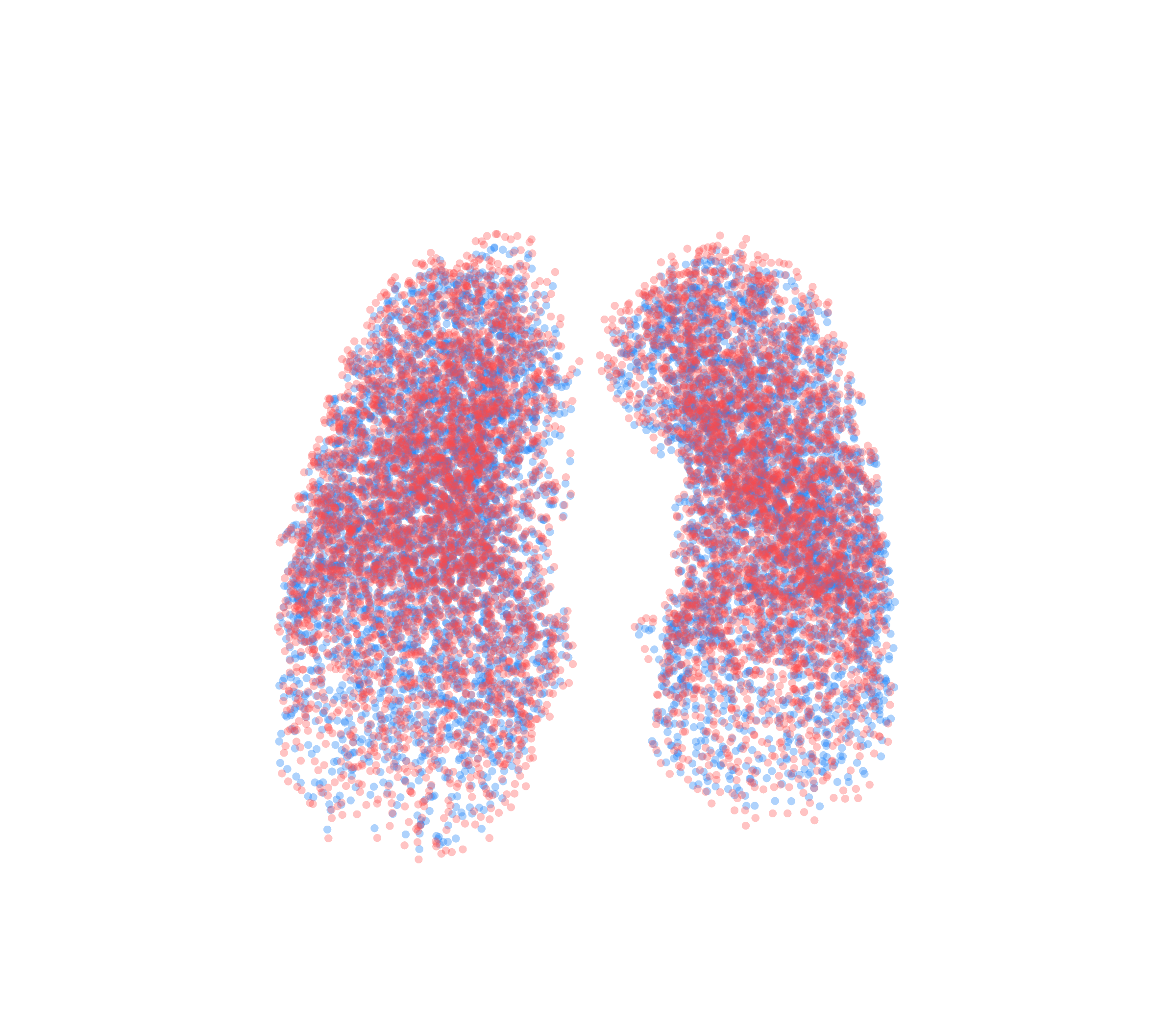 Point Cloud - Front View