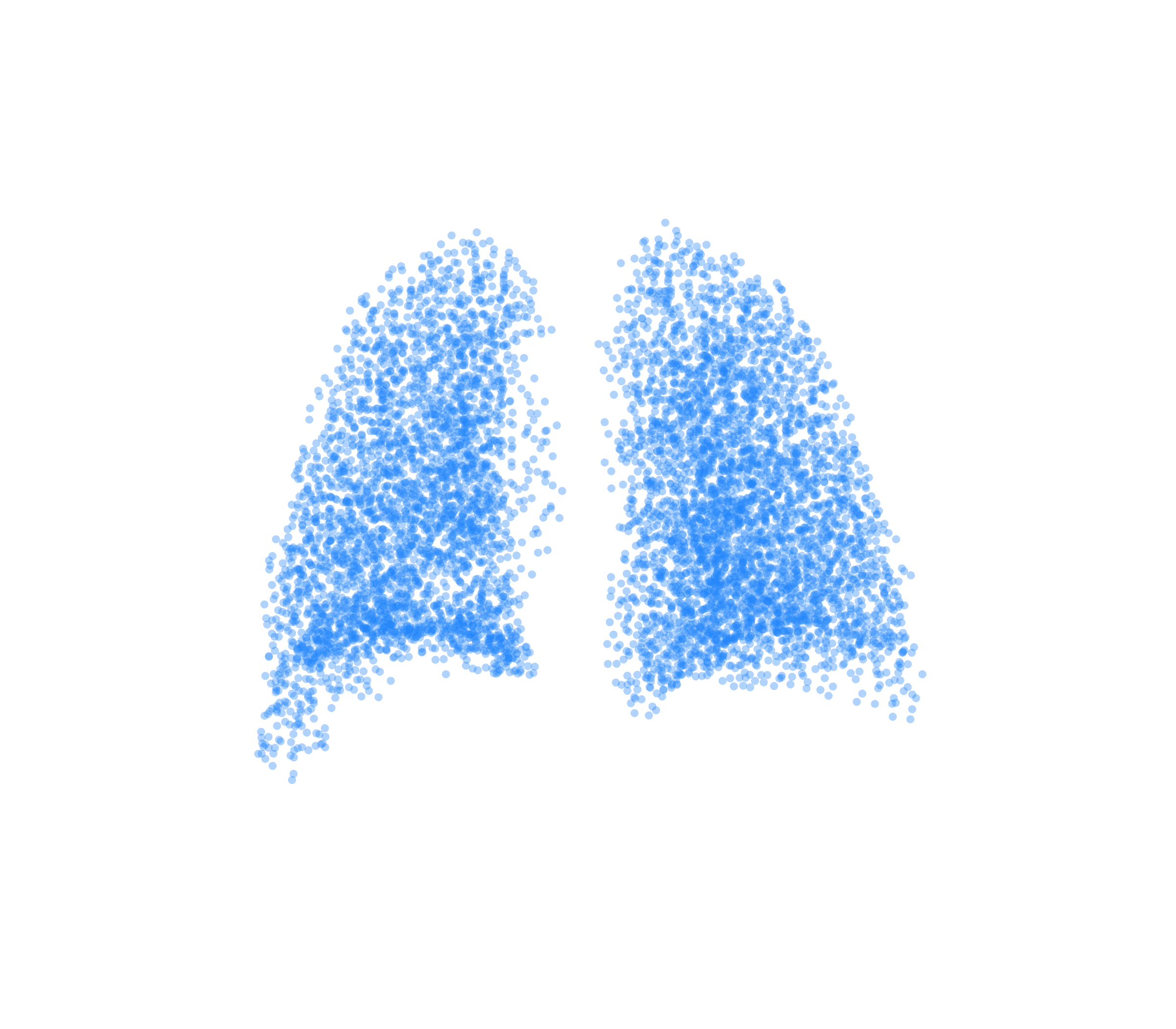 Point Cloud (Inspiration) - Back View