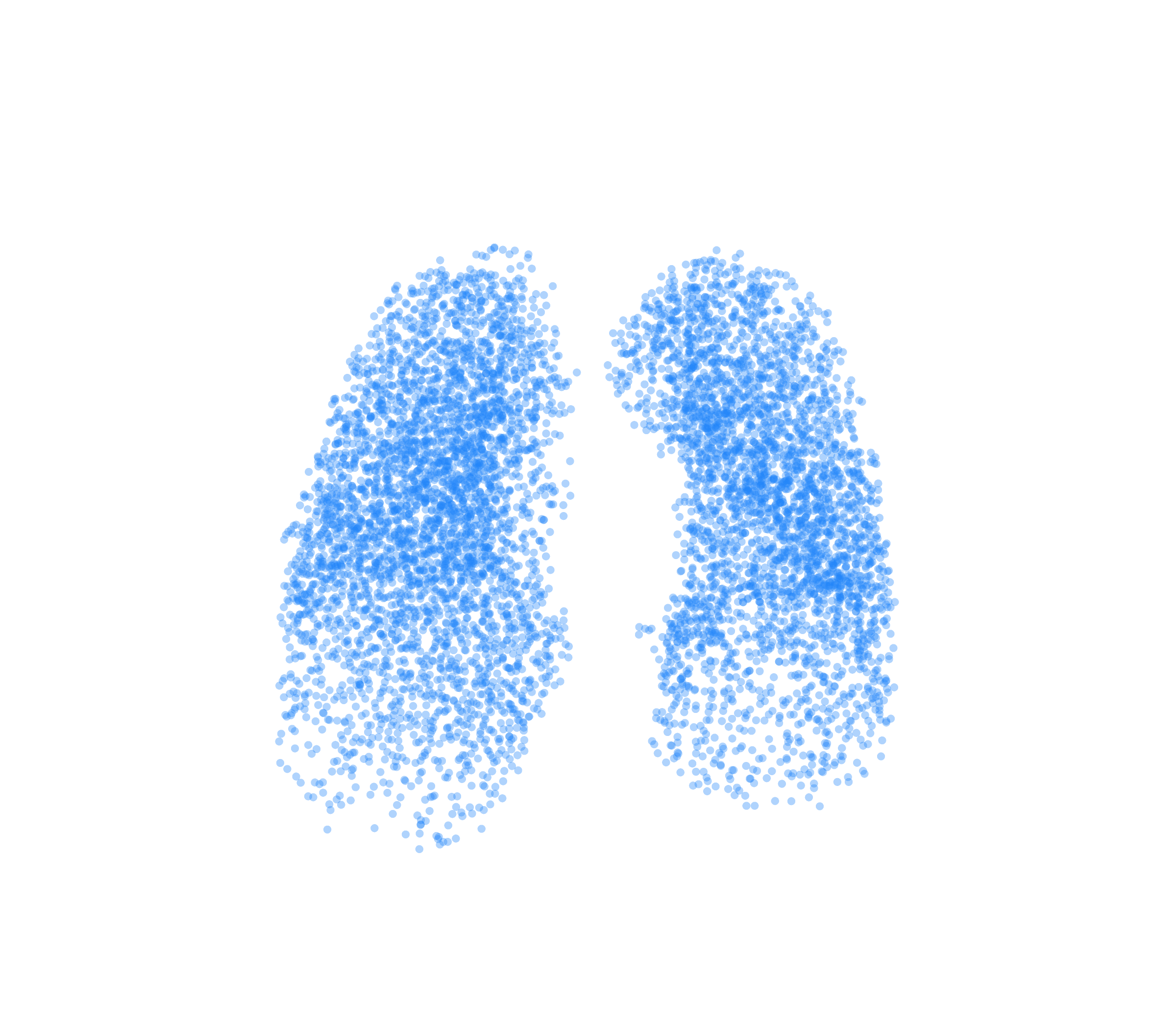 Point Cloud (Inspiration) - Front View
