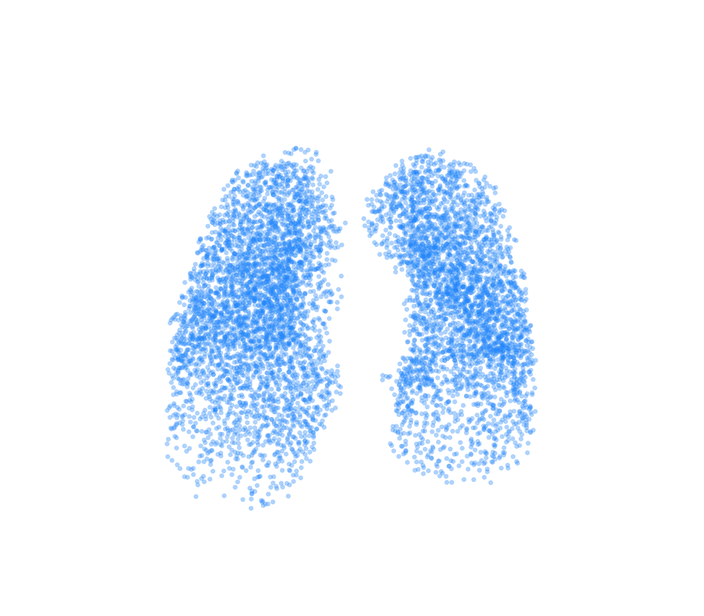 Point Cloud (Inspiration) - Front View