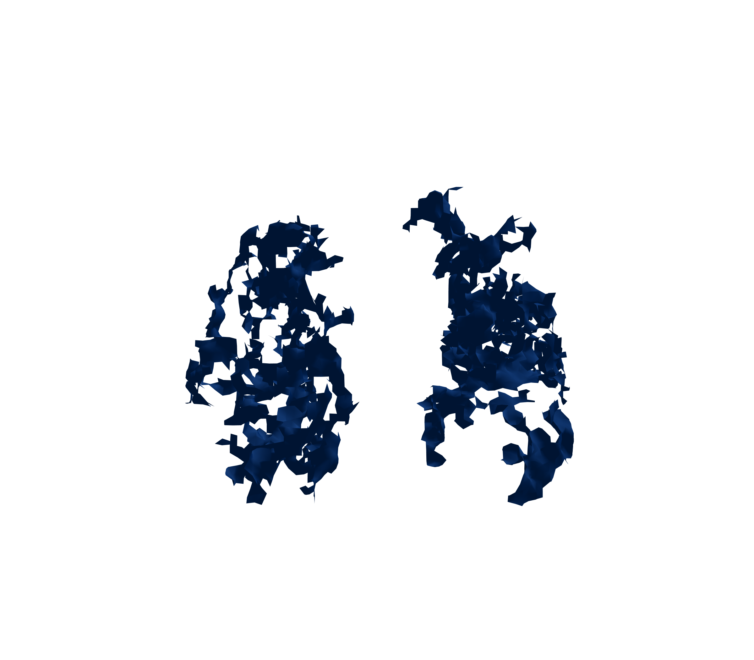 Surface Mesh (Inspiration) - Front View