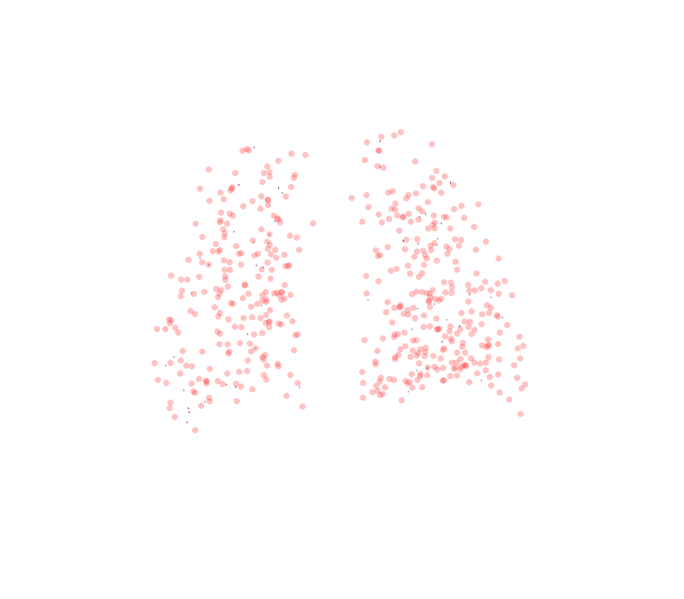 Displacement Vectors - Back View