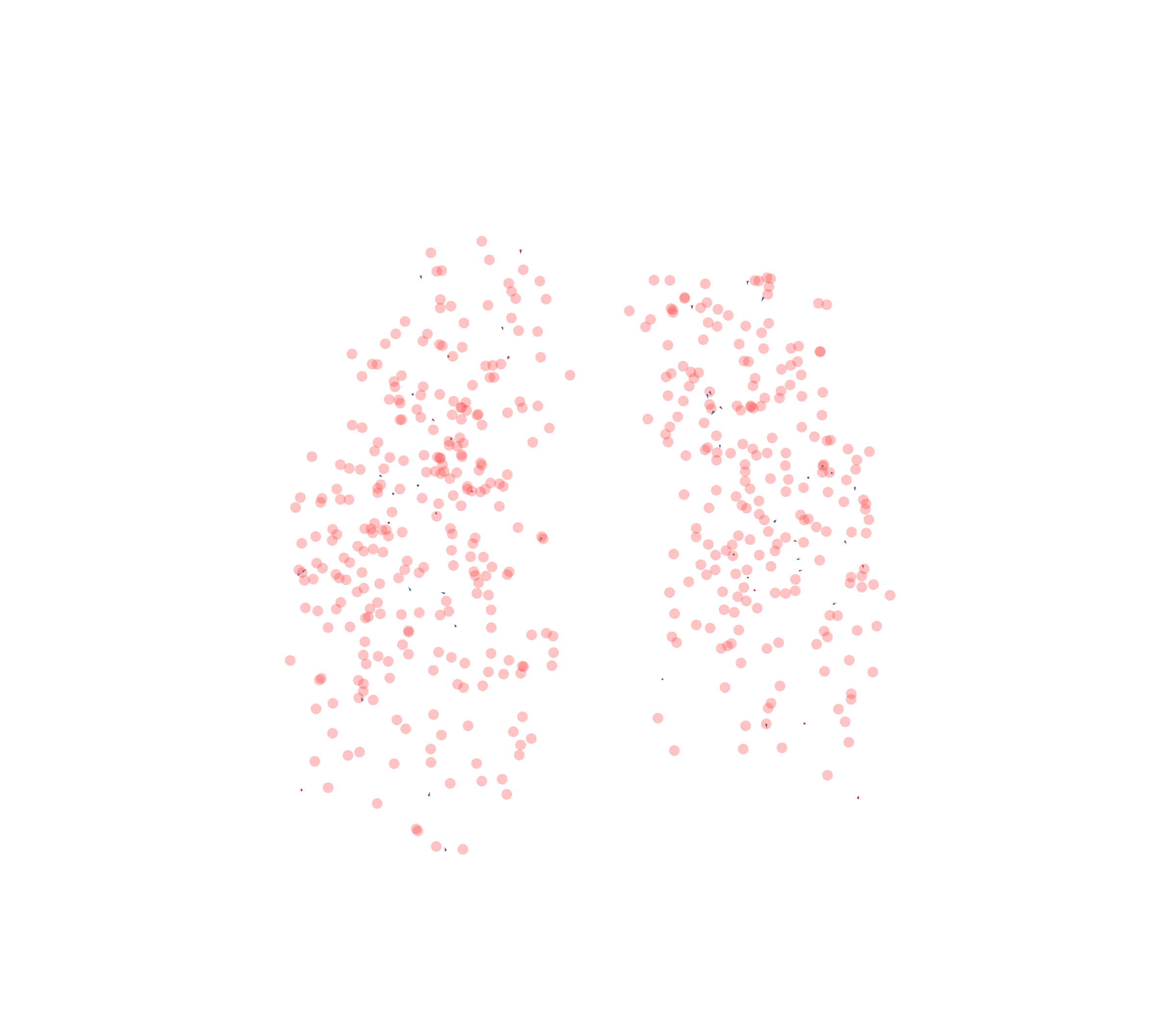 Displacement Vectors - Front View