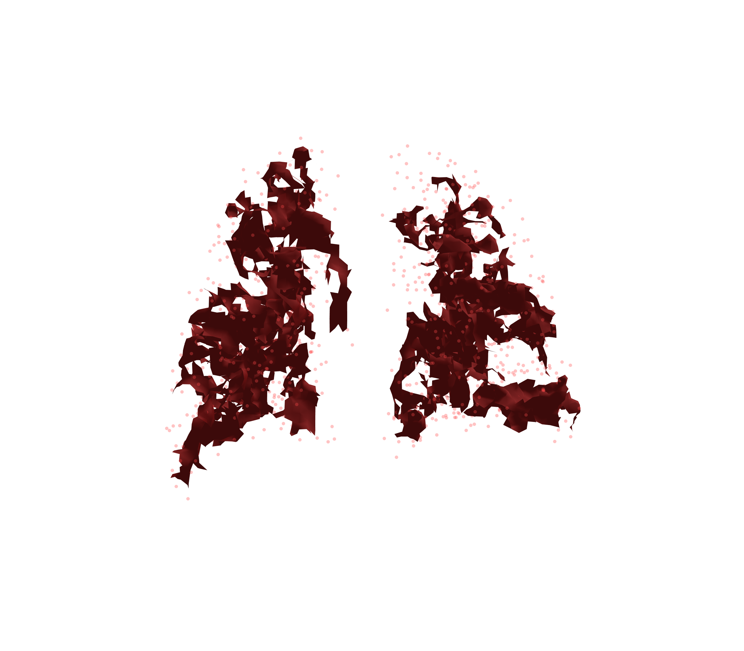 Combined Visualization (Expiration) - Back View