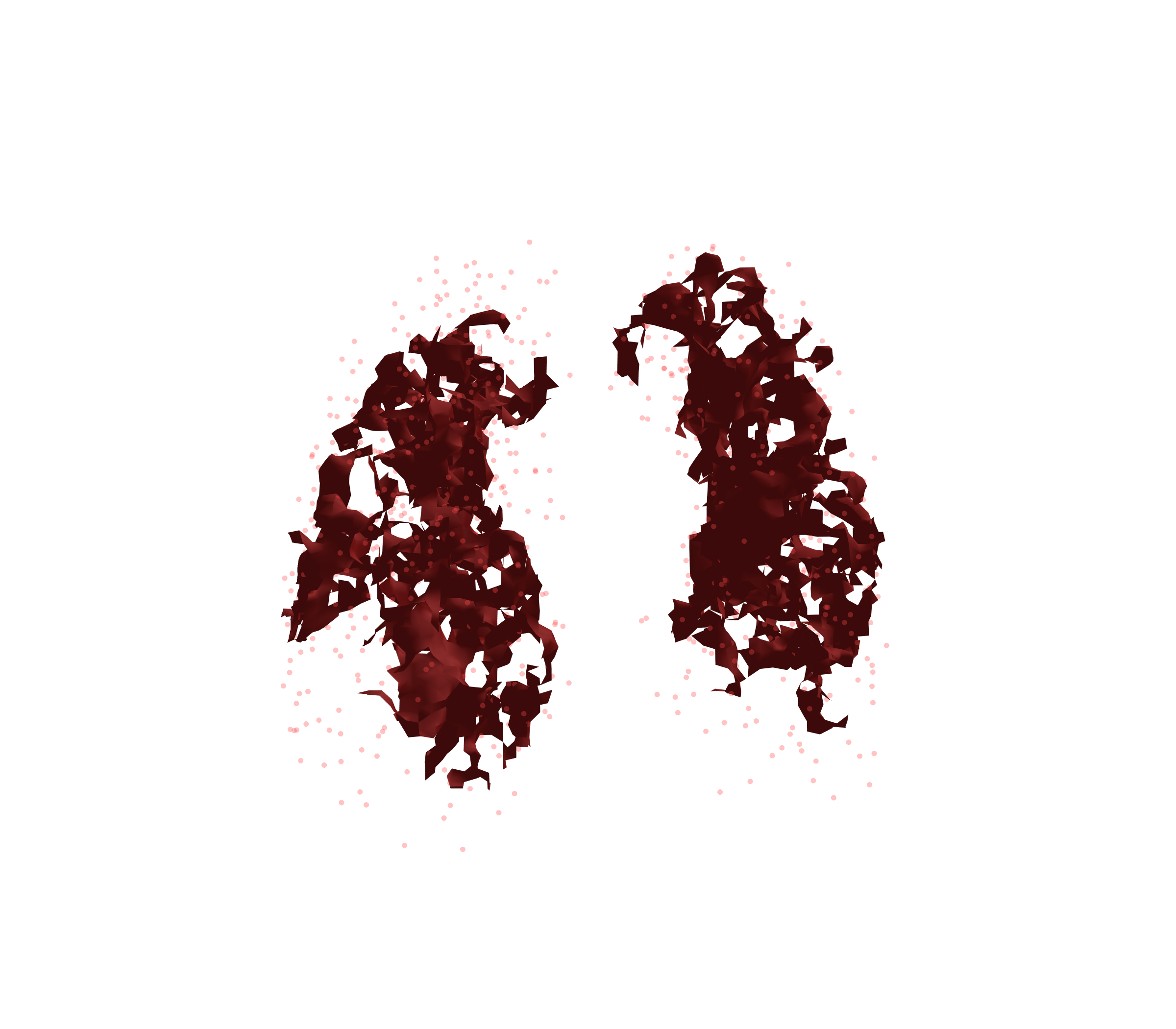 Combined Visualization (Expiration) - Front View