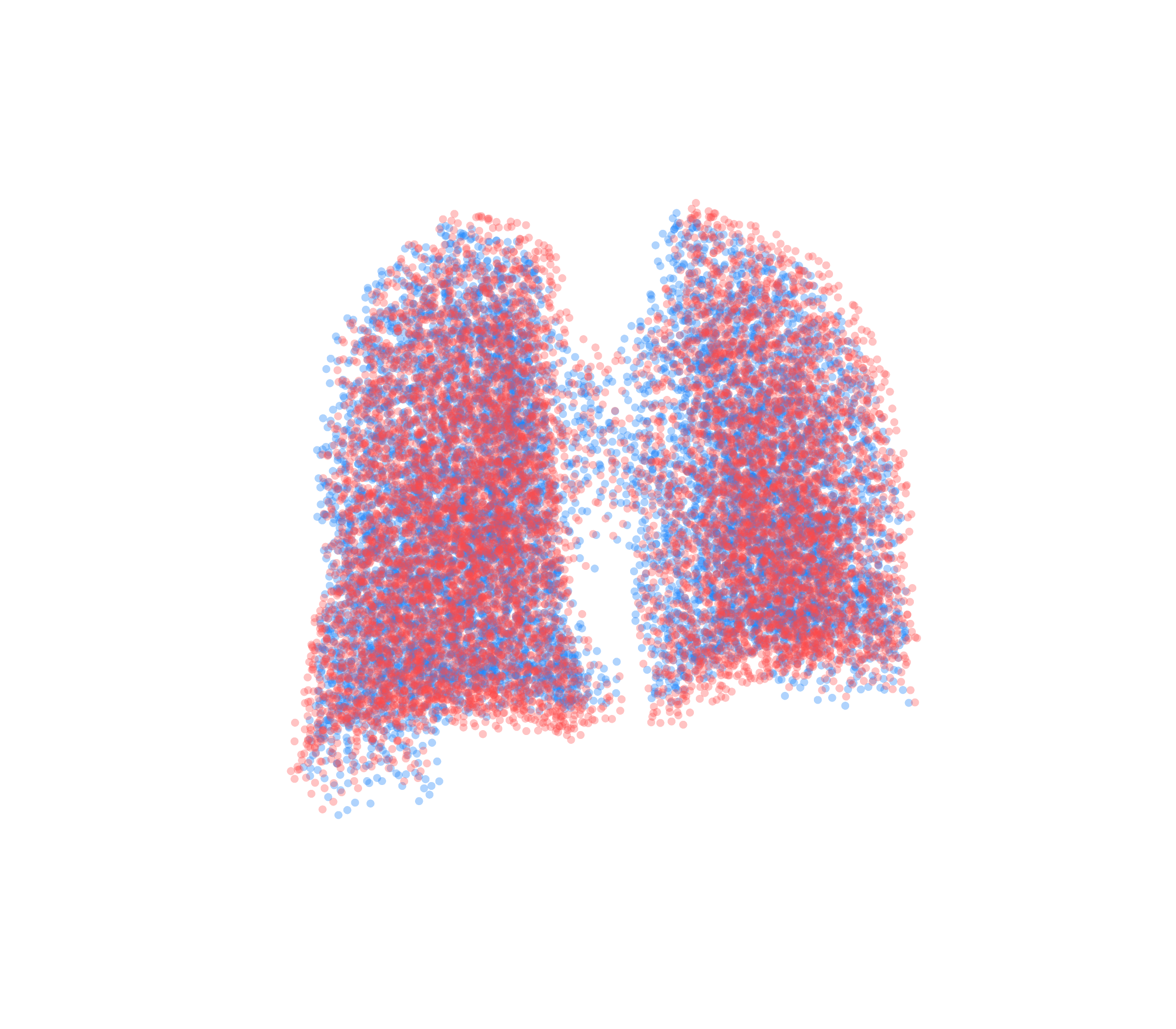 Point Cloud - Back View