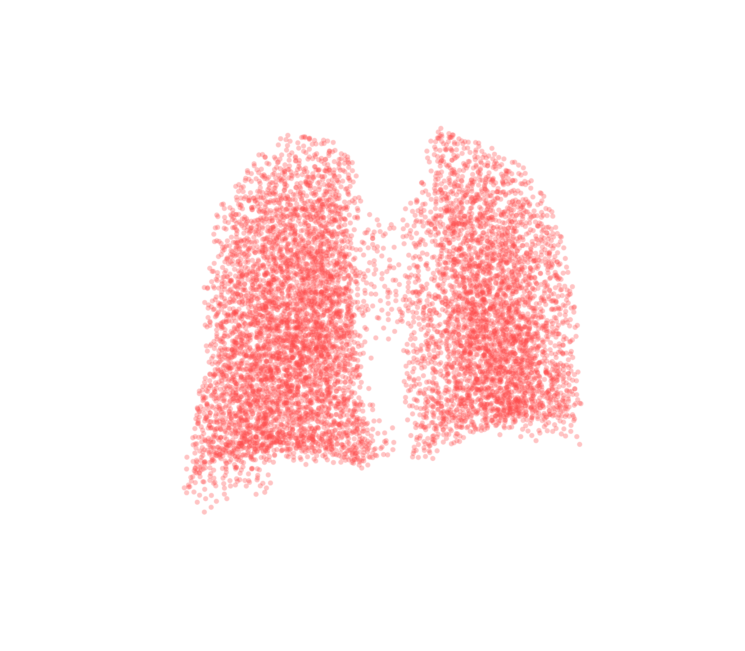 Point Cloud (Expiration) - Back View