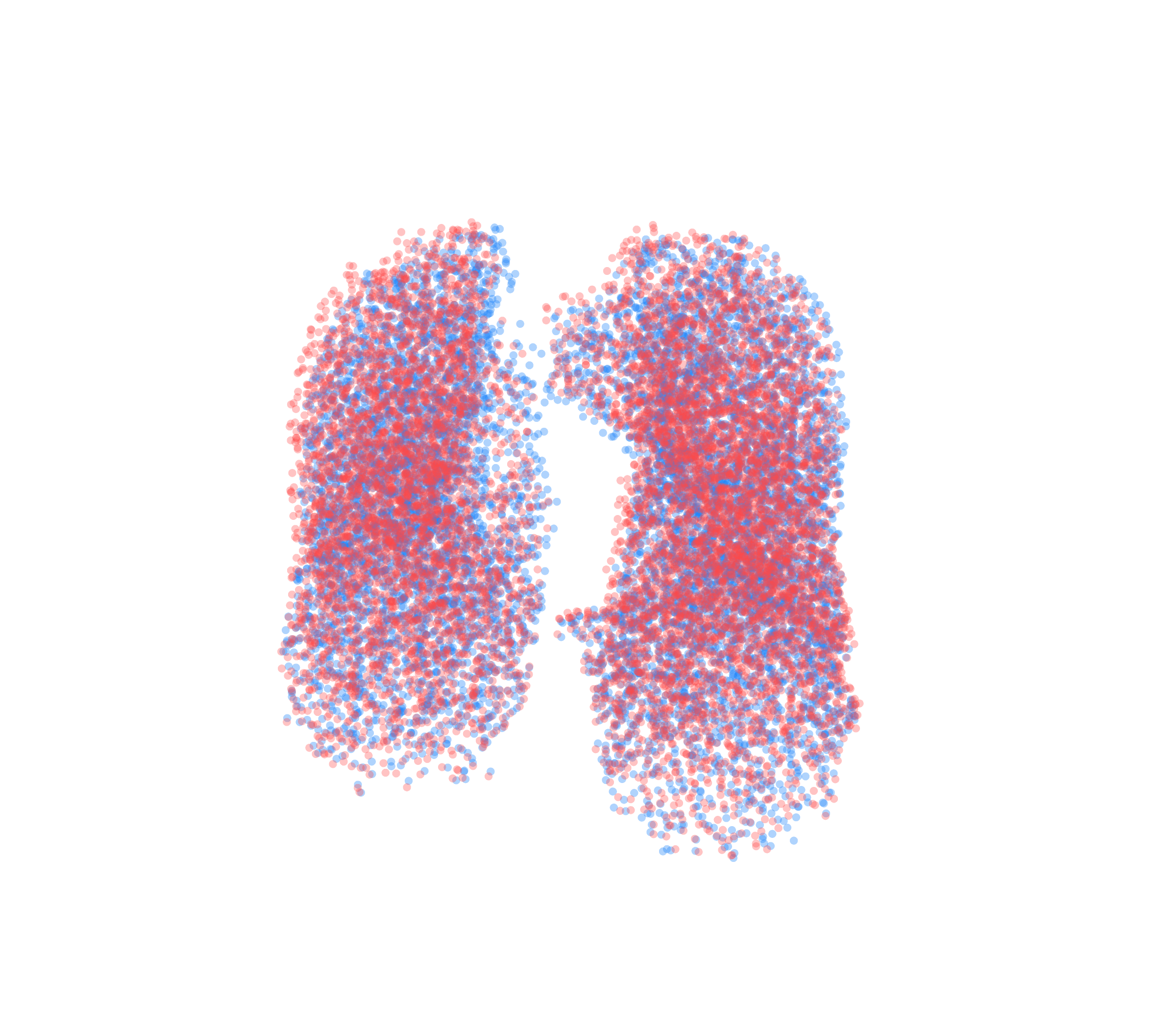 Point Cloud - Front View