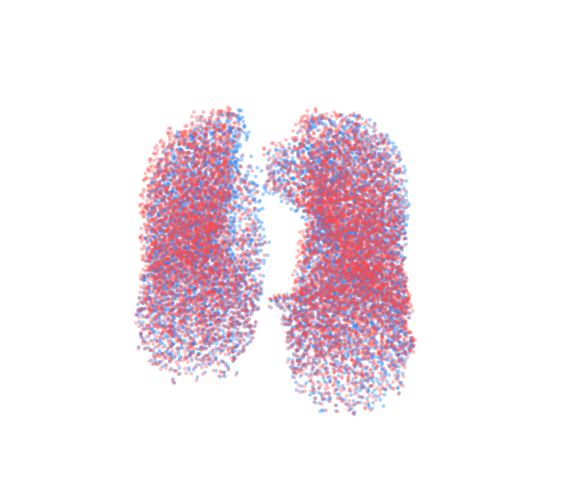 Point Cloud - Front View