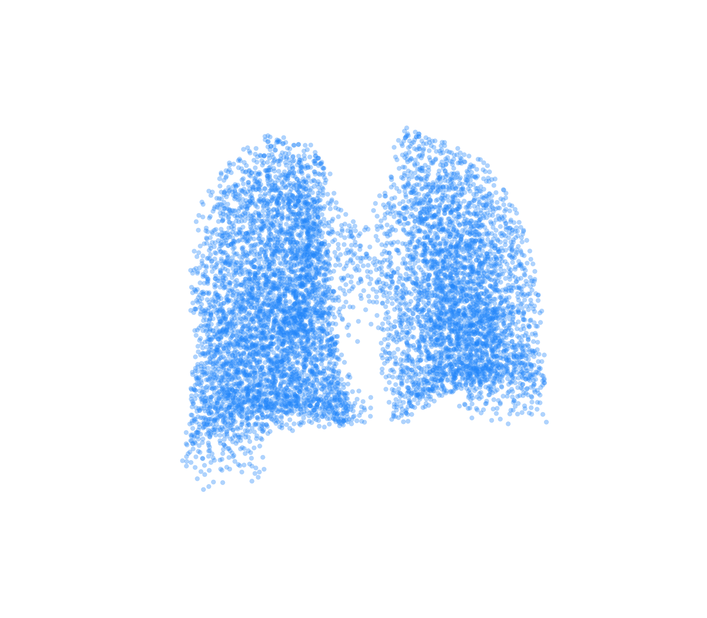 Point Cloud (Inspiration) - Back View