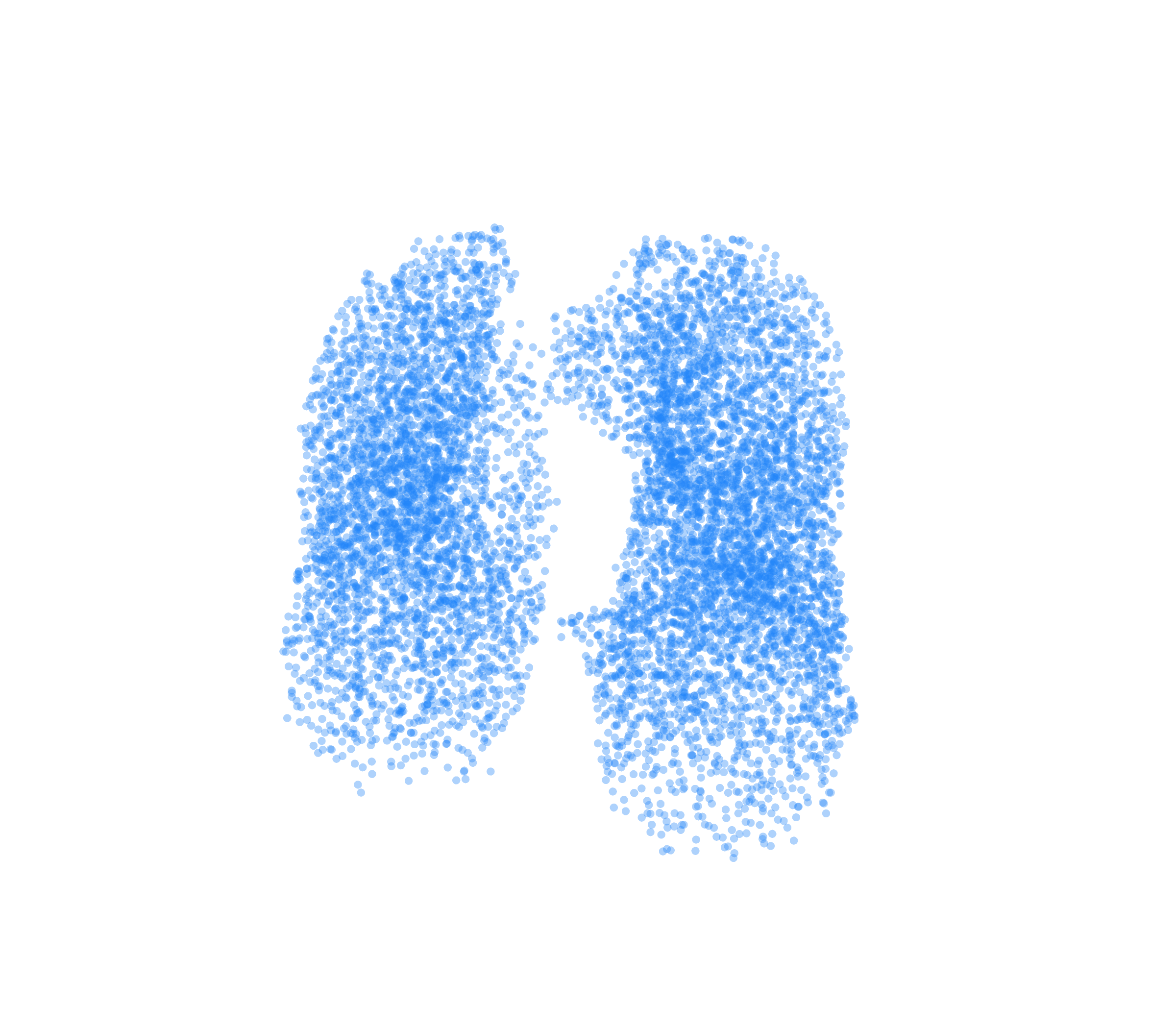 Point Cloud (Inspiration) - Front View