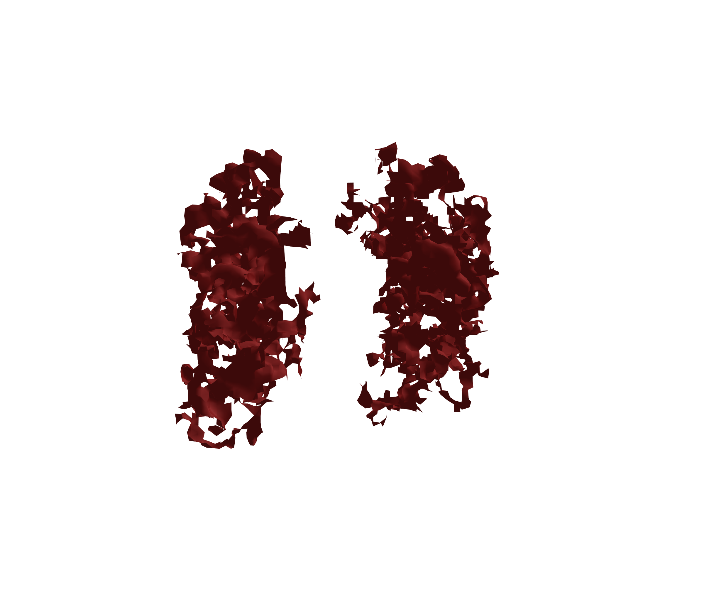 Surface Mesh (Expiration) - Front View