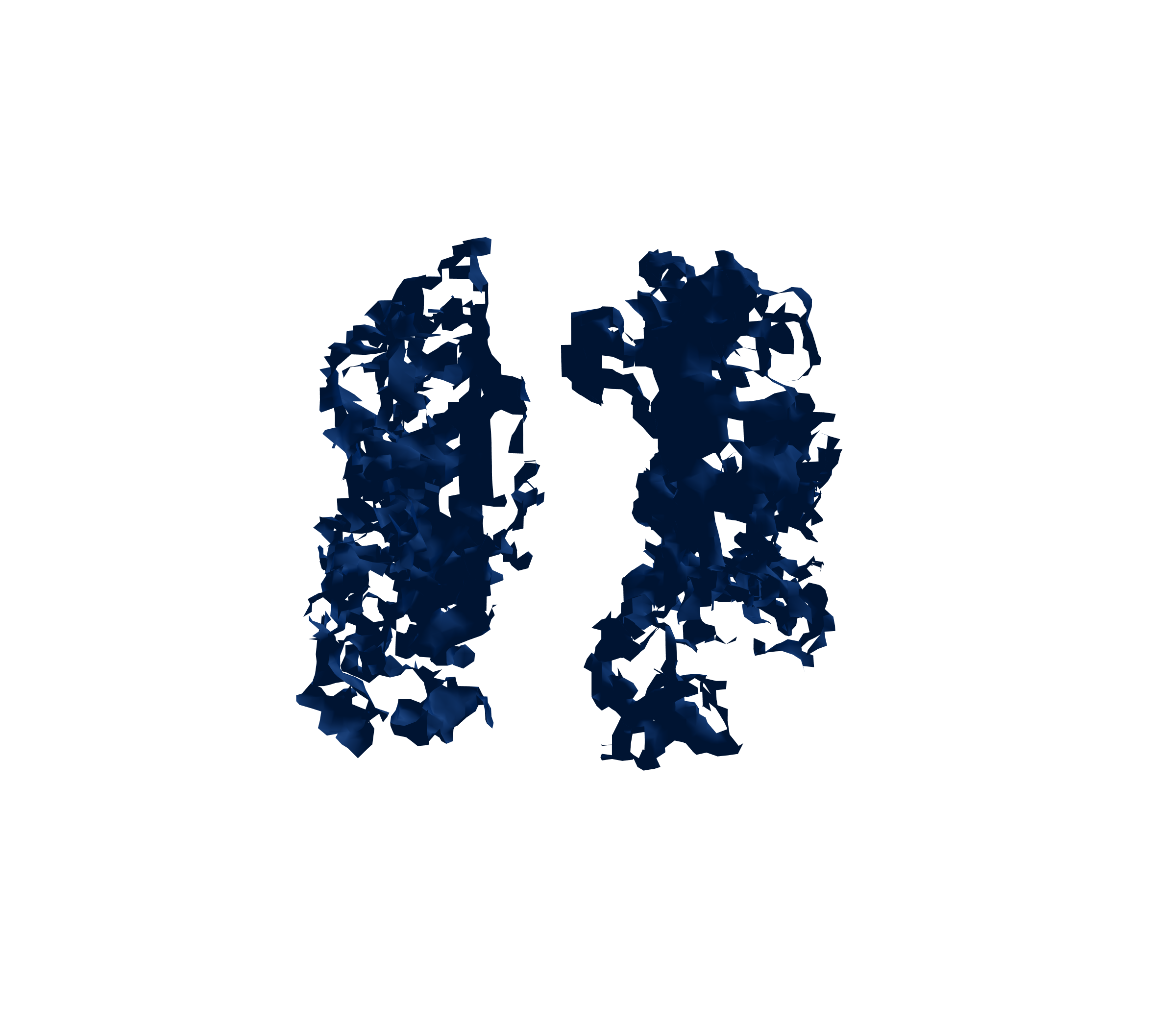 Surface Mesh (Inspiration) - Front View