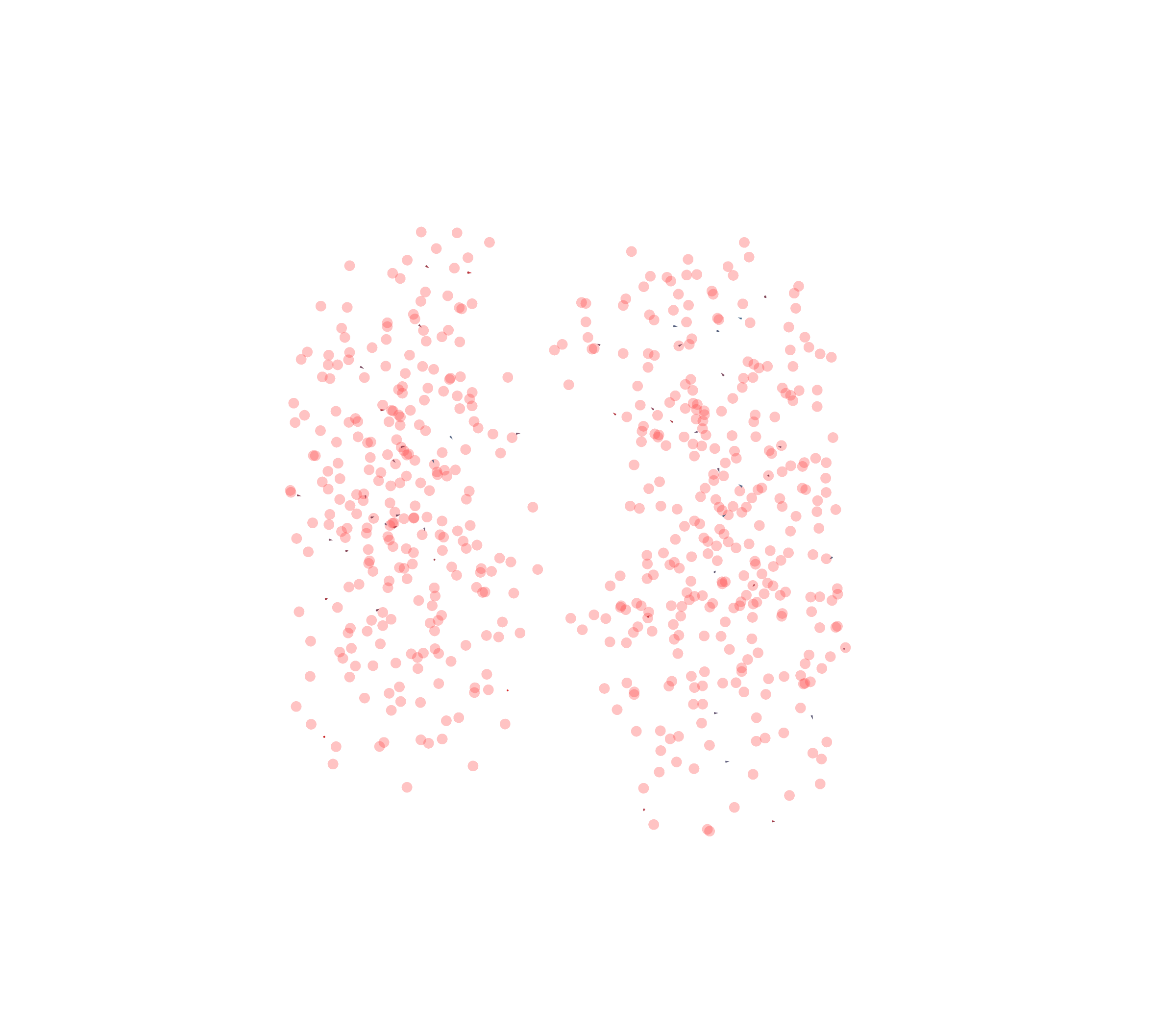 Displacement Vectors - Front View