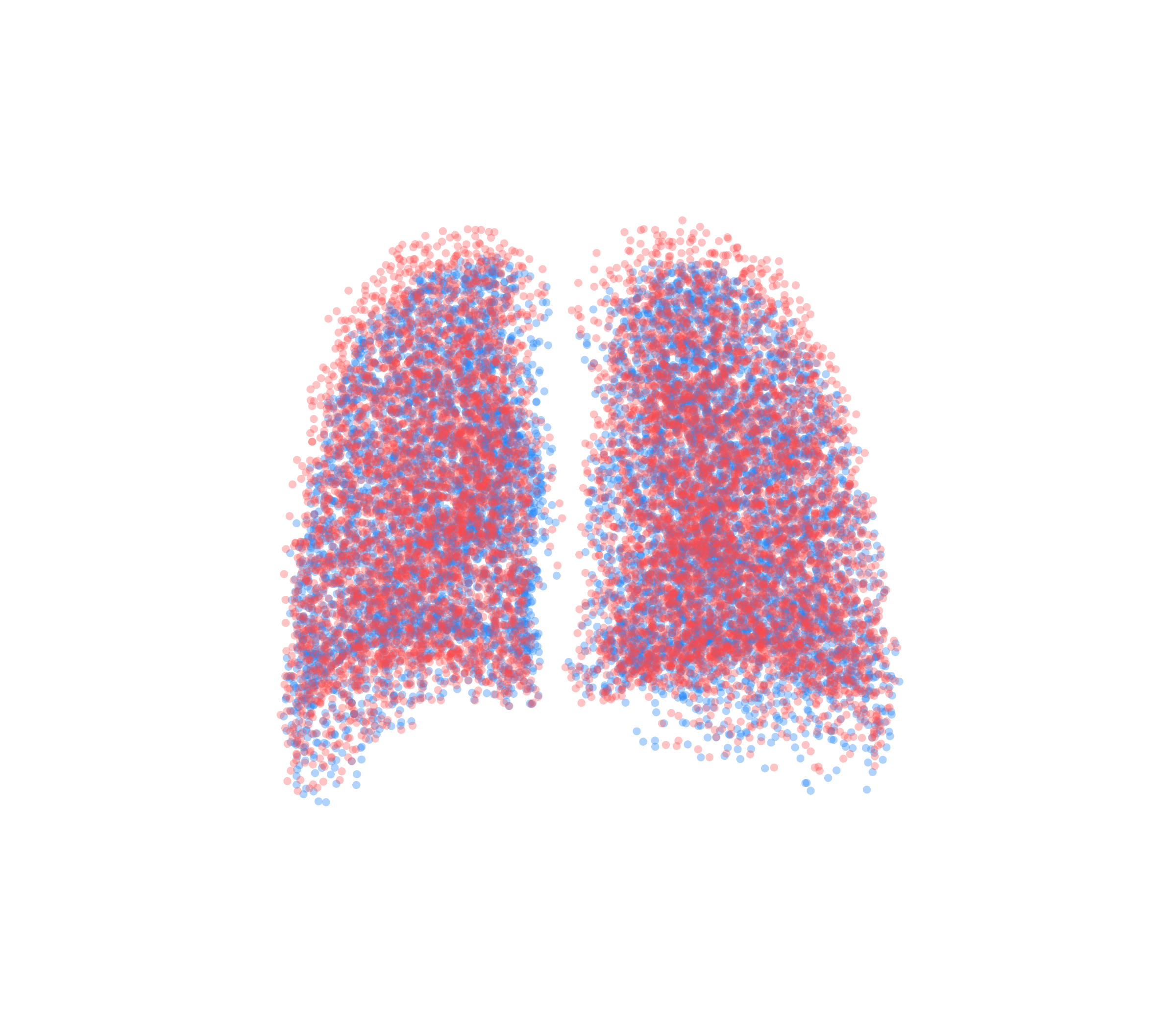 Point Cloud - Back View