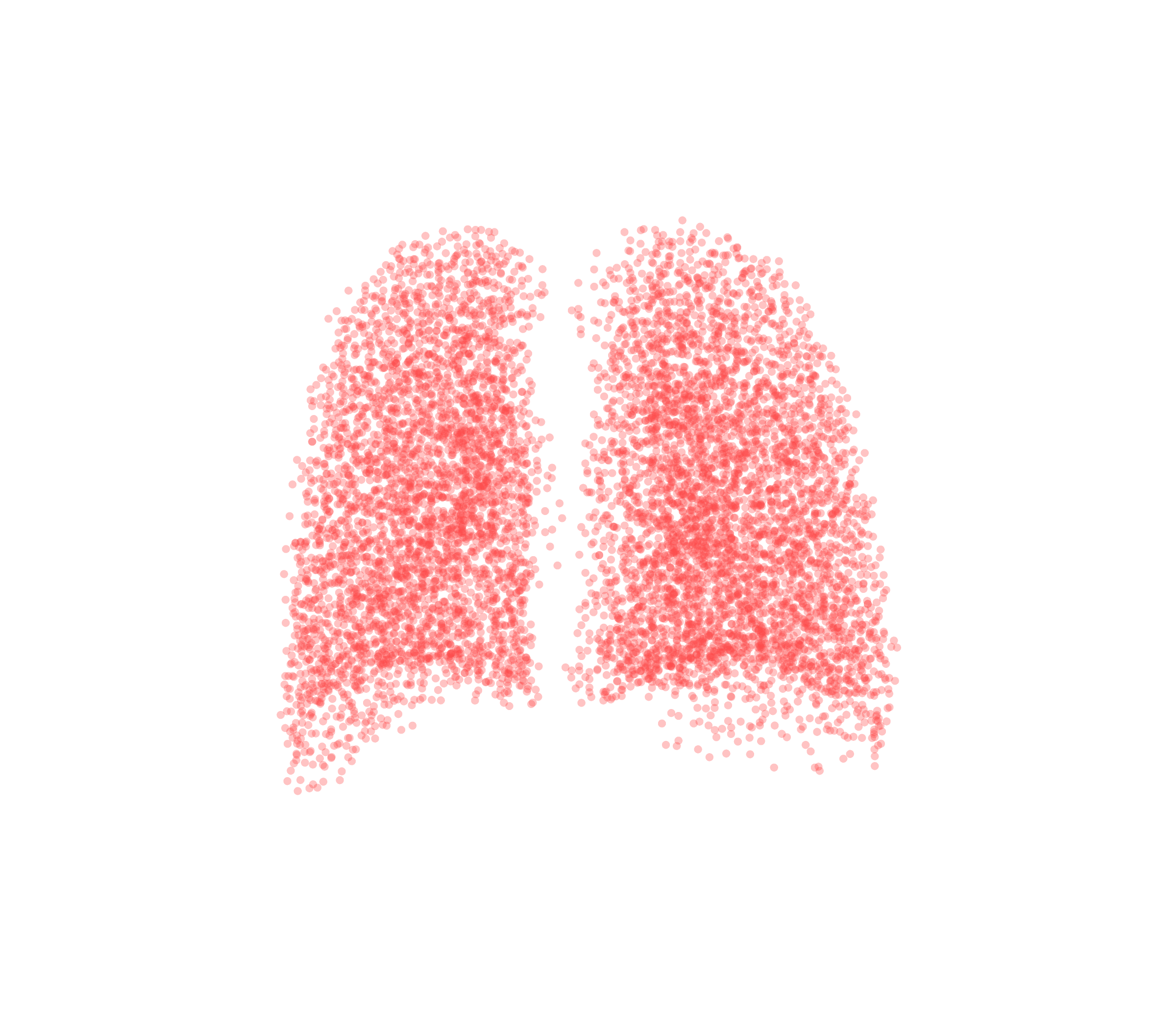 Point Cloud (Expiration) - Back View