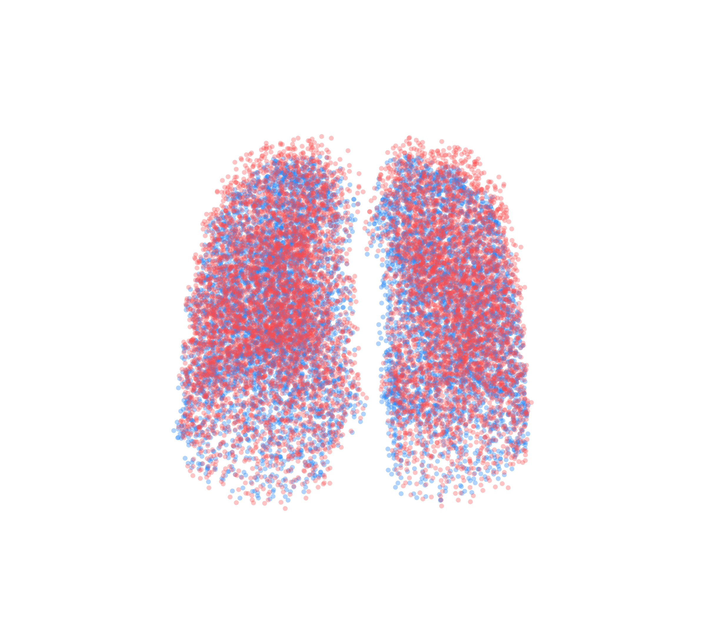 Point Cloud - Front View