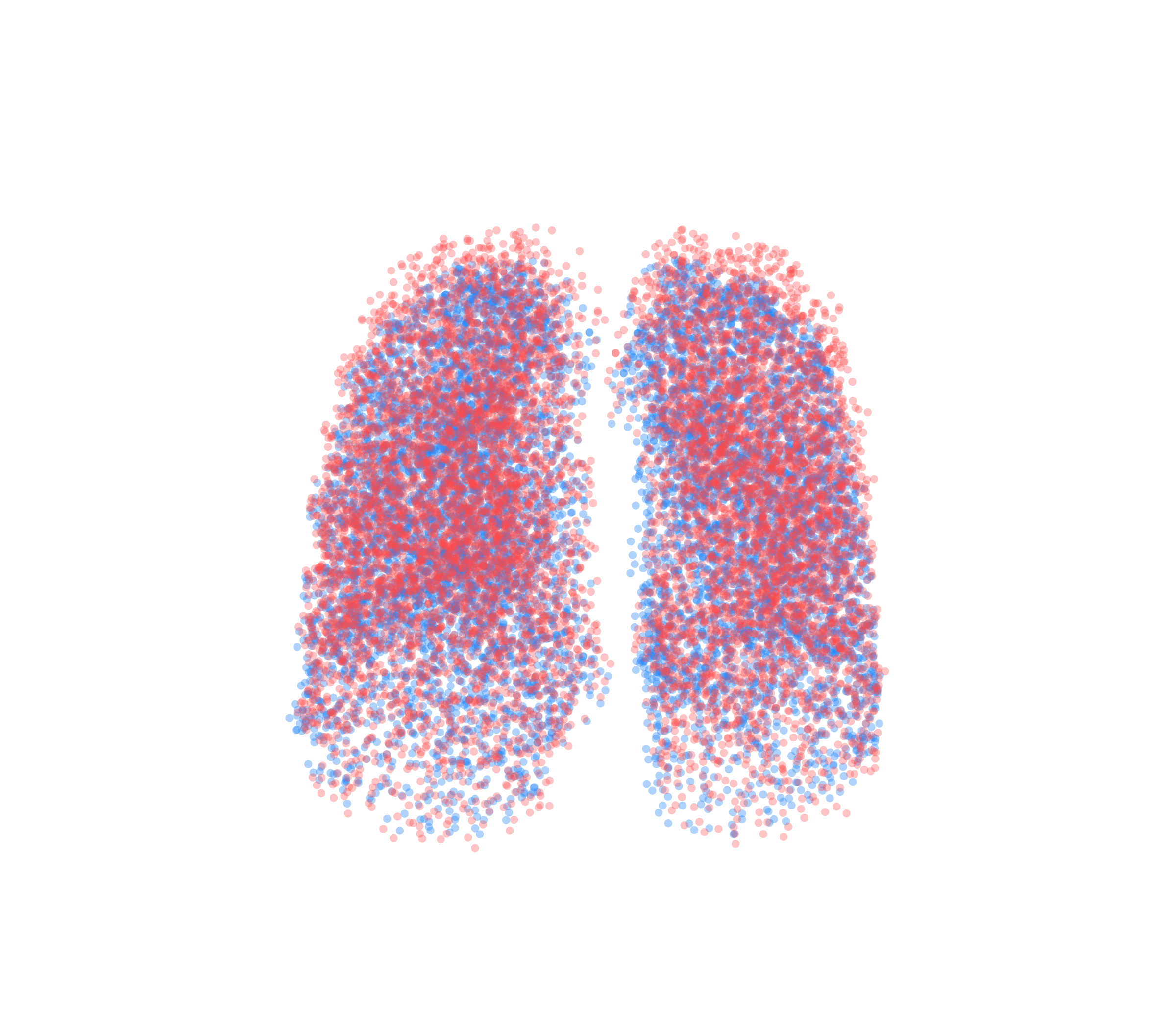 Point Cloud - Front View