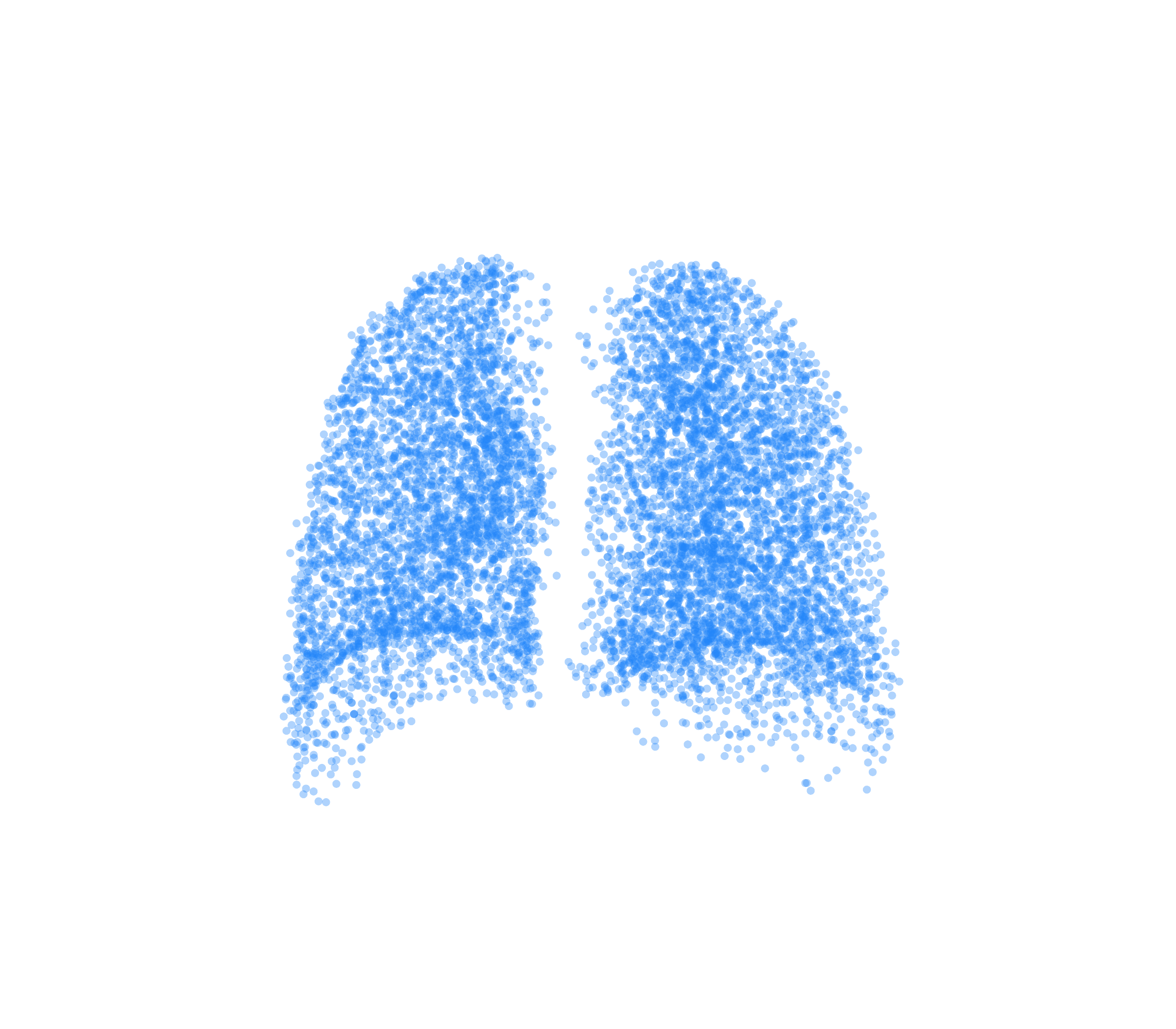 Point Cloud (Inspiration) - Back View