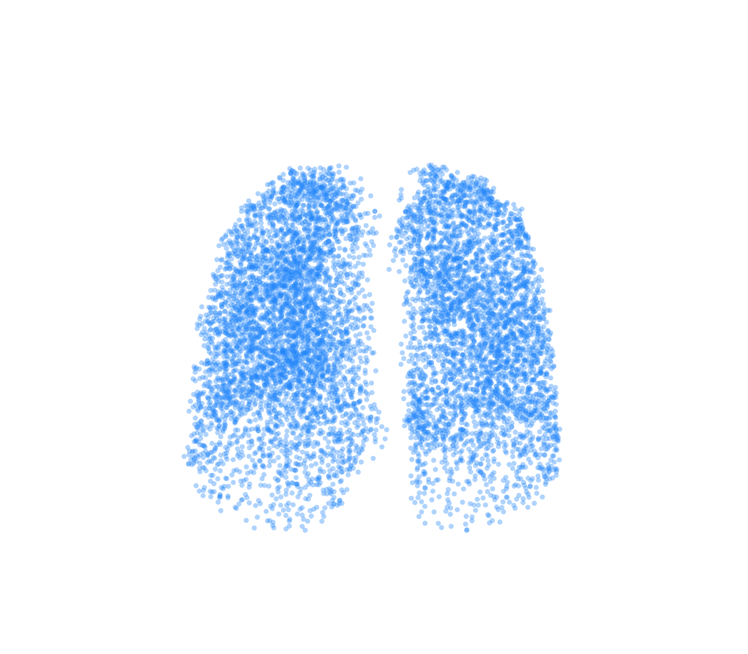 Point Cloud (Inspiration) - Front View