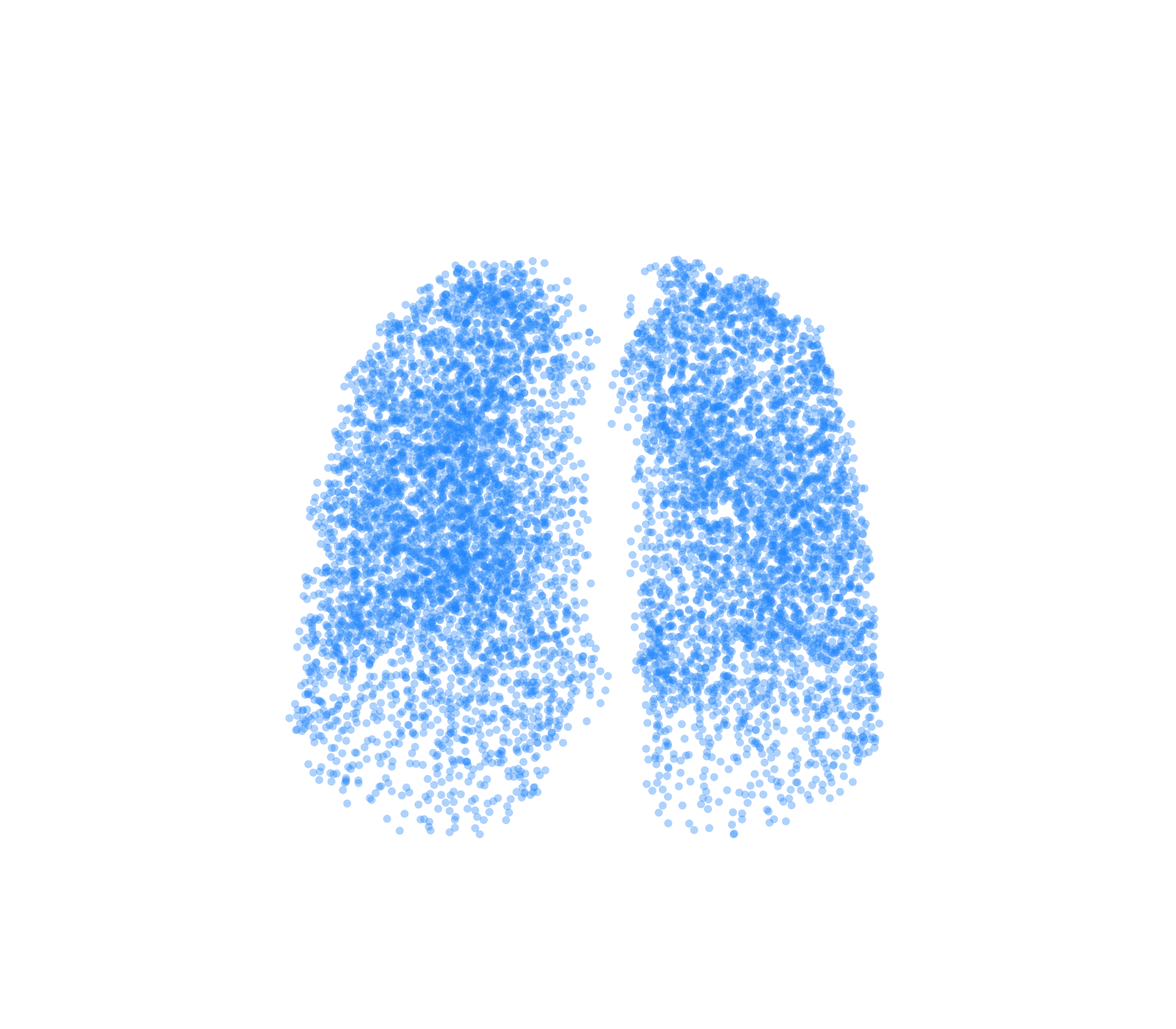 Point Cloud (Inspiration) - Front View