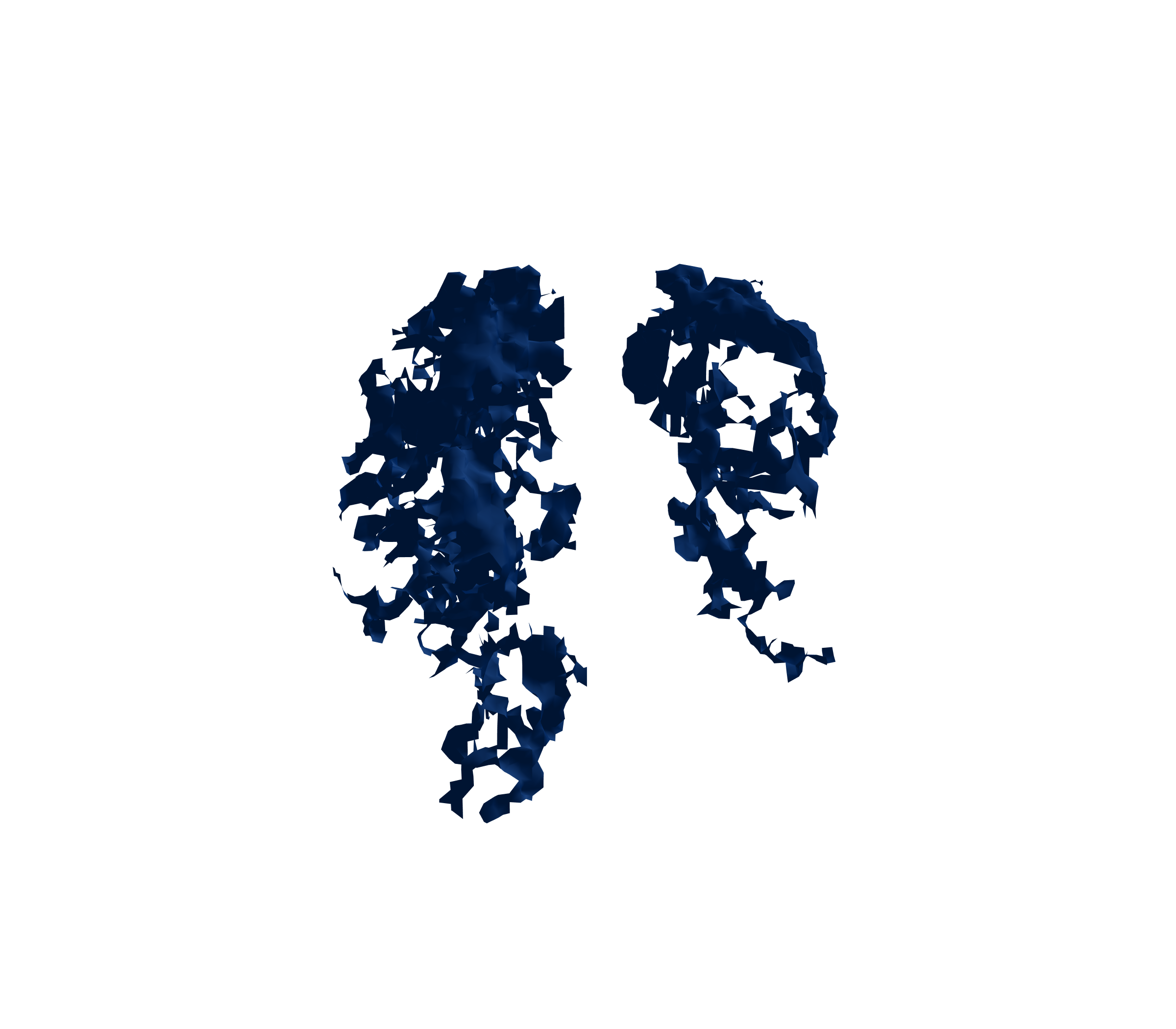 Surface Mesh (Inspiration) - Front View