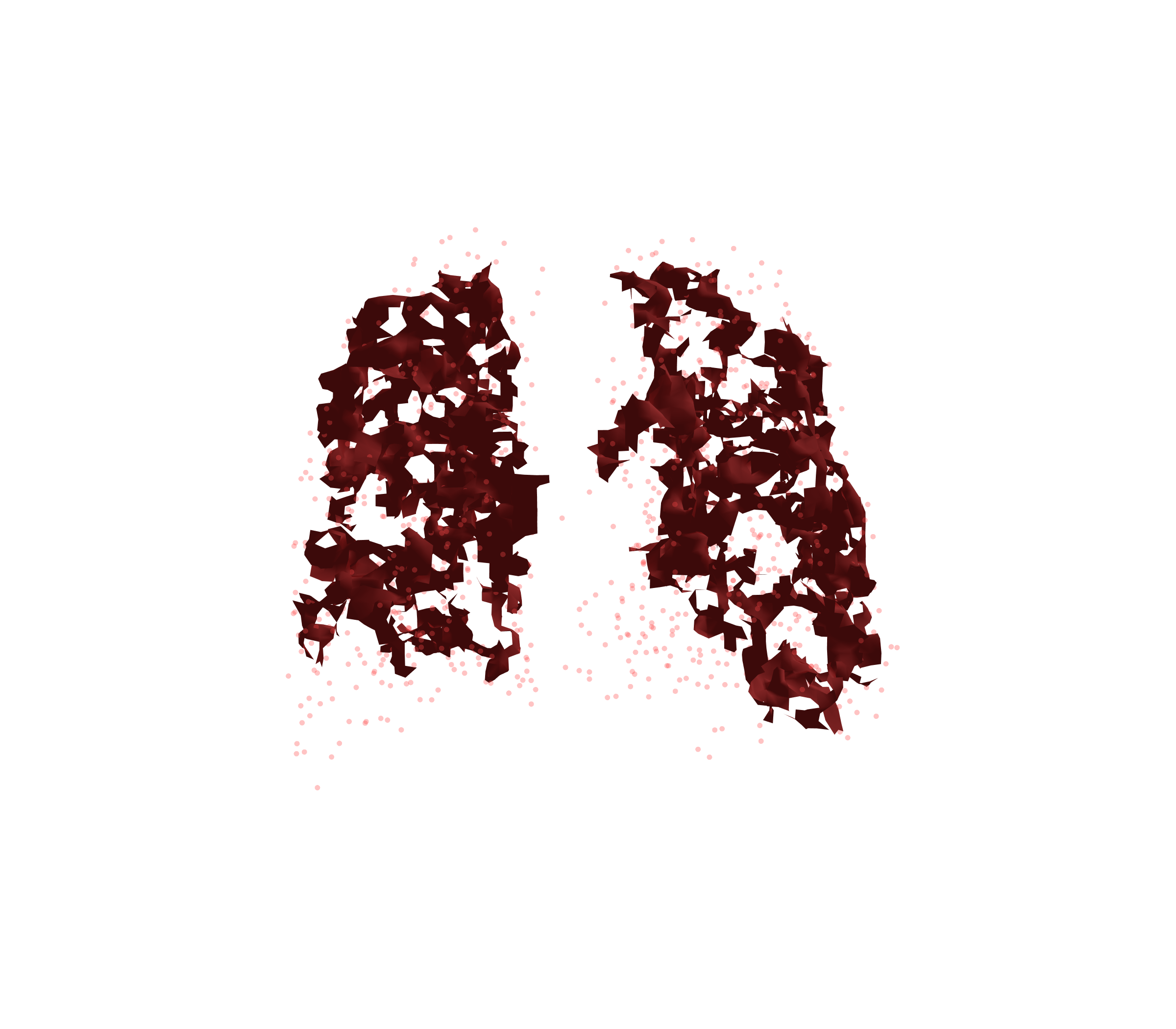 Combined Visualization (Expiration) - Back View