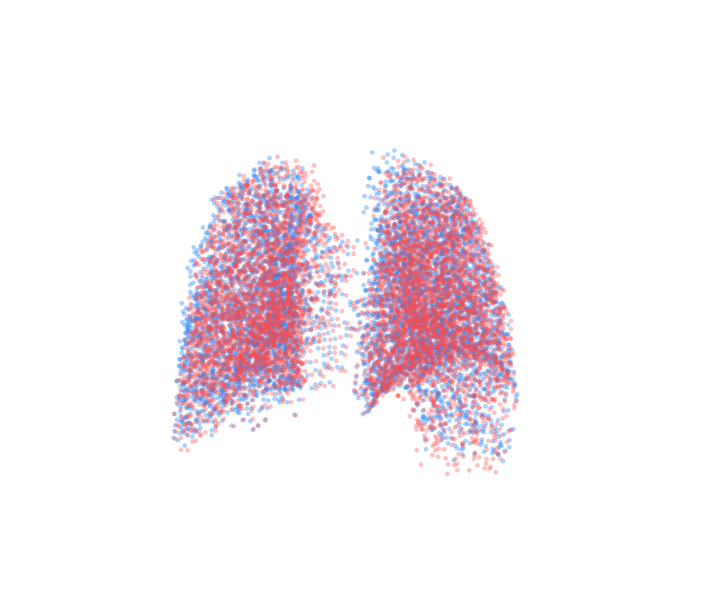 Point Cloud - Back View