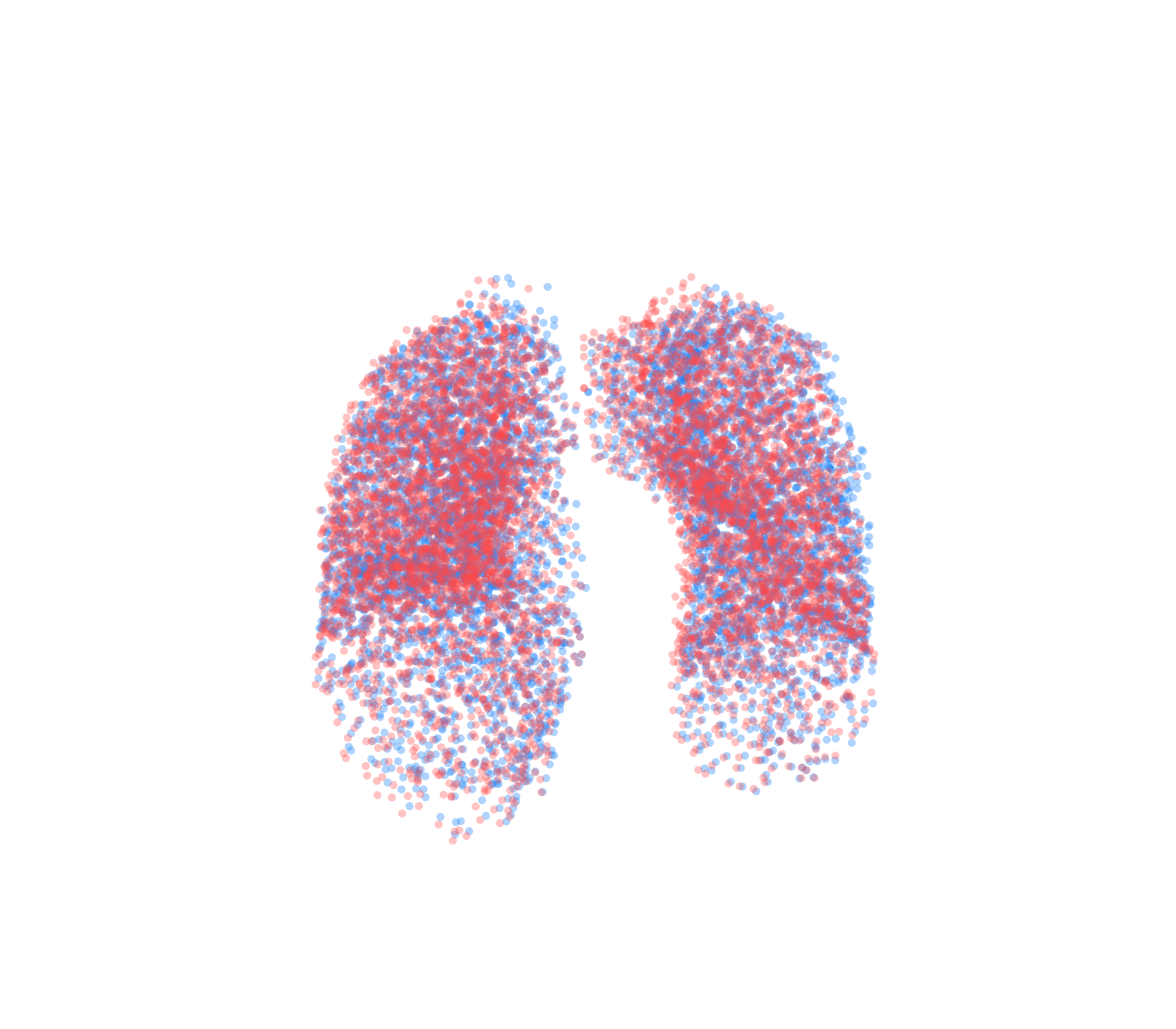 Point Cloud - Front View